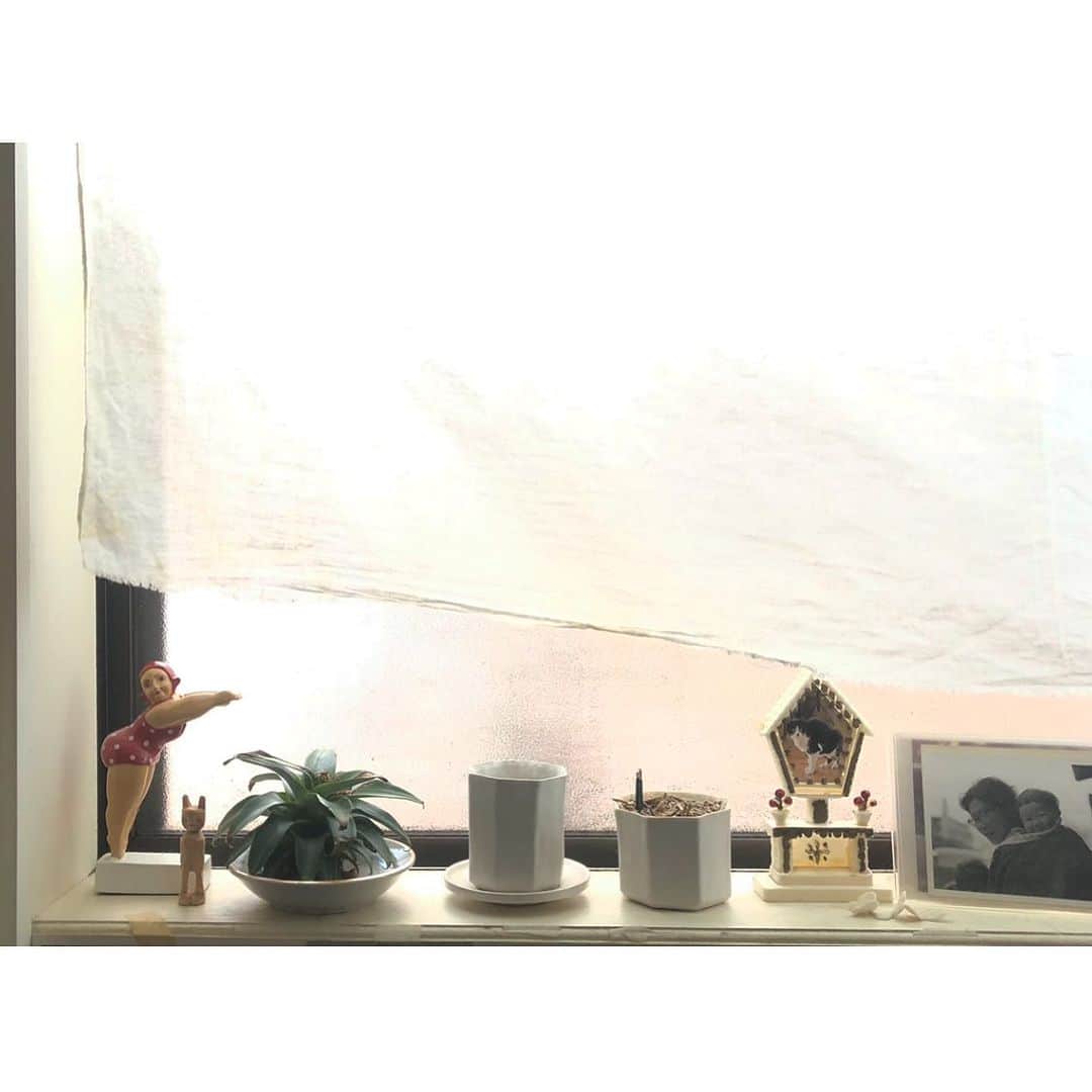 井山三希子さんのインスタグラム写真 - (井山三希子Instagram)「・ 我が家のお仏壇も夏🌴」7月24日 6時48分 - nikoyagi