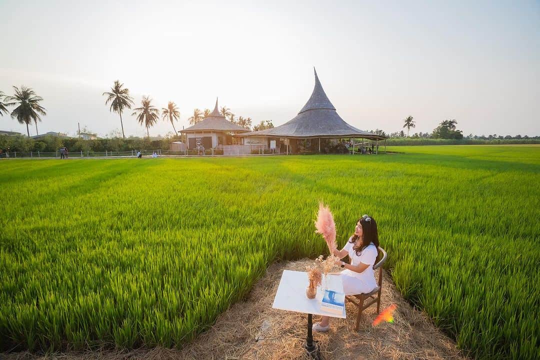 タイ国政府観光庁さんのインスタグラム写真 - (タイ国政府観光庁Instagram)「. ナコーンパトム県の人気カフェ「チャター・タンマチャート」 @chata_thammachart からおはようございます☀️ᐝ  バンコクの西隣ナコーンパトムにあるチャター・タンマチャートは、田園の中に佇む癒やしのカフェ💚　オープンエアの造りになっていて、開放感抜群です🌱✨  カラフルに色付いたススキのような植物の群生や、フォトジェニックなブランコ、睡蓮が咲く池もあり、どこで写真を撮っても素敵に仕上がります🥰📸  さらに、色鮮やかなドリンクやスイーツといったカフェメニューはもちろん、ムーガタなどのタイ料理やピザなど、フードメニューも充実🍽💕  バンコク旅行にプラスしやすいロケーションで、おすすめです🫶  今日も素敵な1日をお過ごしください💐  ★参考になった！と思ったら、あとで見返せるように、 画像右下にある保存ボタン🔖をタップ！  #タイ #ナコーンパトム #チャタータンマチャート #田園カフェ #カフェ巡り #カフェ部 #カフェ好きな人と繋がりたい #今こそタイへ #こんなタイ知らなかった #もっと知りタイ #はじめてのタイ #タイ旅行 #ナコーンパトム旅行 #バンコク旅行 #旅好きな人と繋がりたい #旅行好きな人と繋がりたい #海外旅行 #thailand #nakhonpathom #nakhonpathomtrip #bangkoktrip #ChataThammachart #cafehopping #cafehopper #amazingthailand #thailandtravel #thailandtrip #thaistagram #lovethailand #amazingnewchapters」7月24日 8時00分 - amazingthailandjp