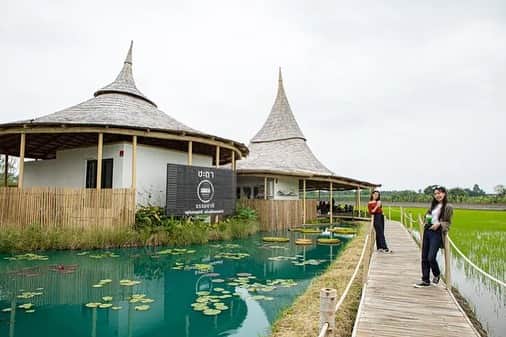タイ国政府観光庁さんのインスタグラム写真 - (タイ国政府観光庁Instagram)「. ナコーンパトム県の人気カフェ「チャター・タンマ ...