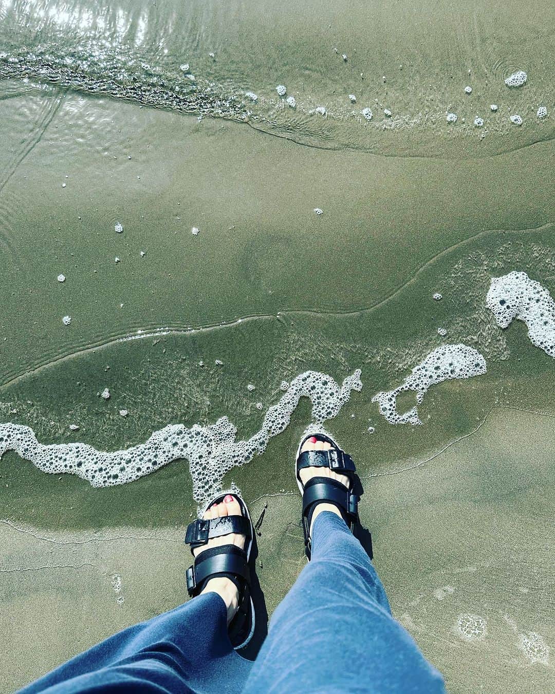 のインスタグラム：「気持ちいいな🐬🌊」