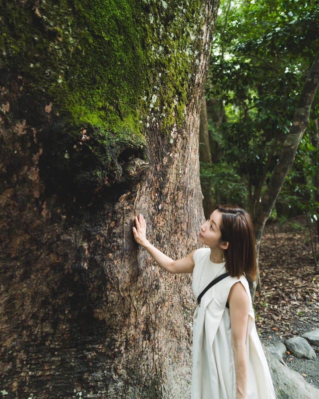 大瀧彩乃のインスタグラム：「・ 初めての伊勢神宮⛩️  暑すぎなくて気持ちよかった🌳 木の生命力に圧巻。 　 道の駅で買った野菜達（特に国産にんにくがたっぷり入ってて100円） が美味しすぎた🥬🍆🥕🌽  最近、和菓子を頂くことが増えたので合いそうな竹のマットを。  この日は私がQ2,夫がM11の日📸  #伊勢神宮#伊勢#東京京都生活  #m11 #nottoday」