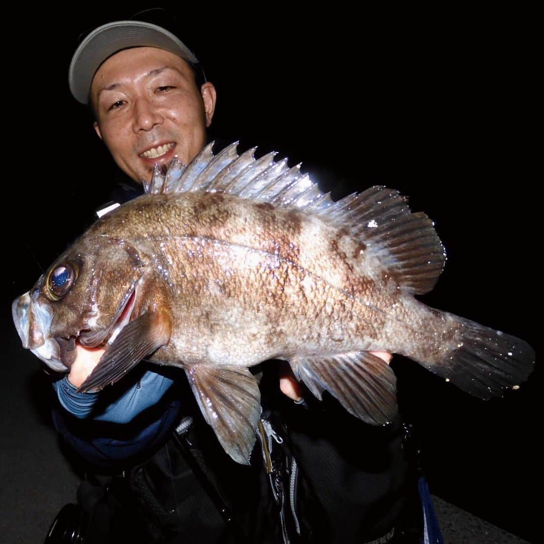 レジャーフィッシングさんのインスタグラム写真 - (レジャーフィッシングInstagram)「釣り人には「一番」と言える魚がいる。  その魚のどんなところに魅力を感じ、 どんな釣りをしてきたのだろうか？ LF本誌でもおなじみの「エンジョイソルト」のメンバー 村元達哉さん、土居大紀さん、西秀章さんに、 「俺の一番魚」について紹介してもらいました。  ◆レジャーフィッシング８月号に掲載! 本誌の詳細、その他の記事は、 ハイライト「最新号」から記事をチェック！ https://www.e-leisure.jp/book/  ◆ご購入はこちら！ オンラインショップ【レジャーフィッシング SHOP】 https://eleisure.theshop.jp/items/75670716  ◆岡山、広島、香川、愛媛、徳島、高知、 兵庫の一部、山口、福岡の主要な釣具店及び書店やで販売。 Amazonでも販売! https://amzn.asia/d/gXvltN7  #エンジョイソルト #村元達哉 #土居大紀 #西秀章  #メバル #メバリング #アコウ #キジハタ #アコウゲーム #ルアー #ルアー釣り #瀬戸内海 #レジャーフィッシング #釣り #海釣り」7月24日 19時00分 - leisurefishing