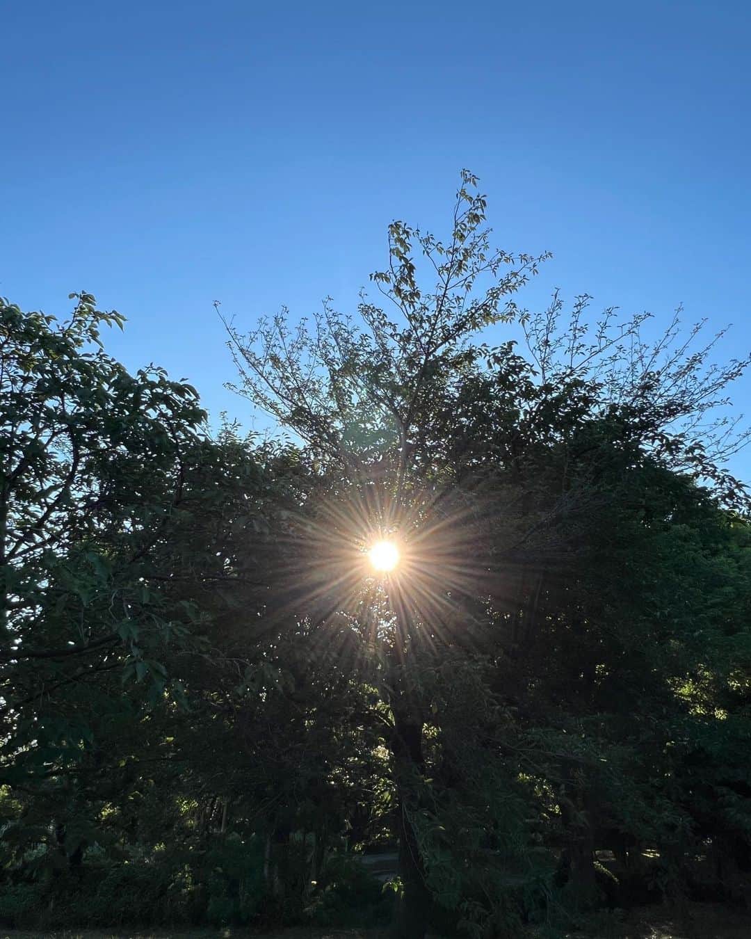 有森裕子さんのインスタグラム写真 - (有森裕子Instagram)「日が沈む刻 少し心地よい風に乗って 蝉の声 今日の1日の終わりを告げる。」7月24日 19時08分 - arimori.yuko33