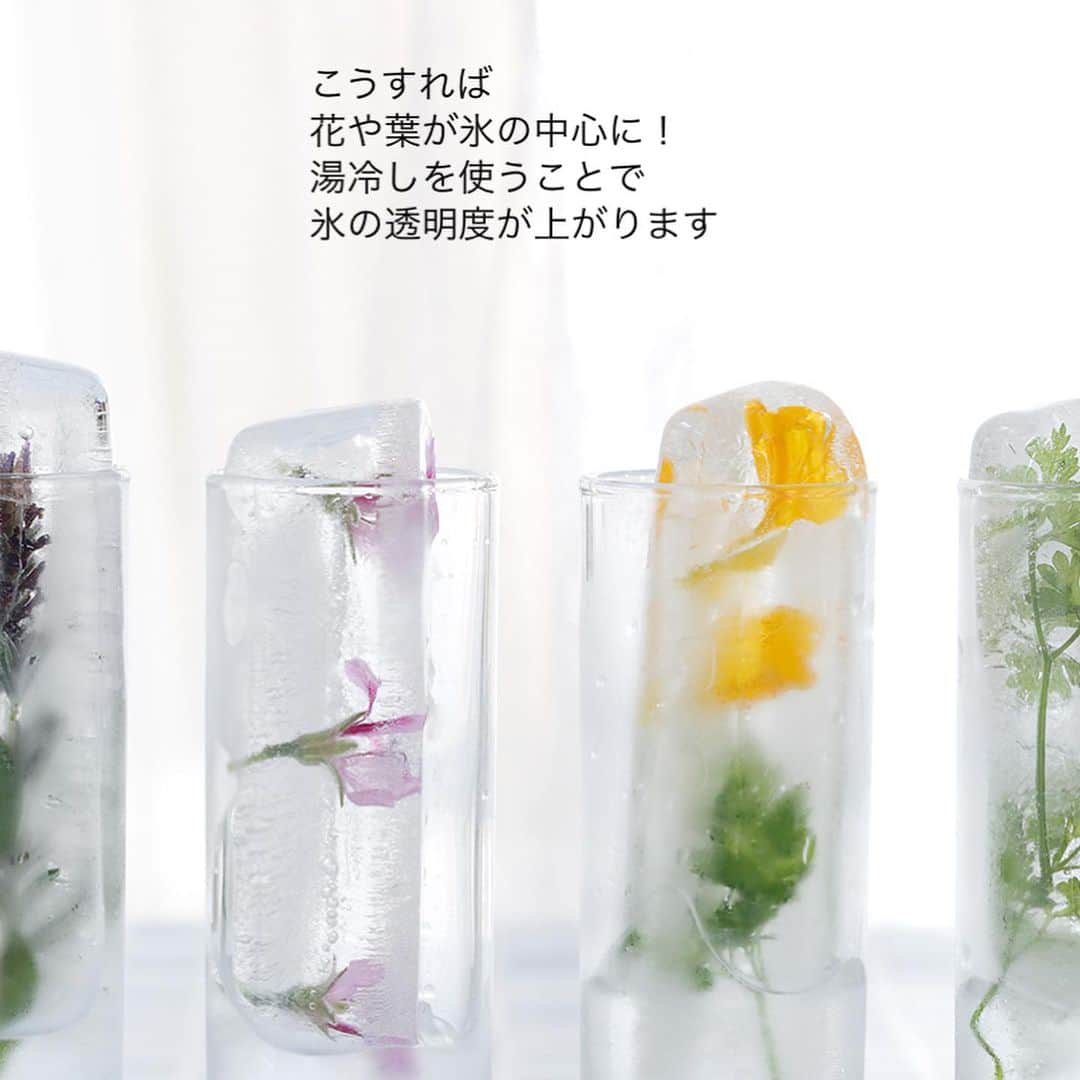 雑誌『花時間』さんのインスタグラム写真 - (雑誌『花時間』Instagram)「暑さしのぎに、花氷🧊を作ってみませんか？  花時間（@hanajikan_magazine）です。  写真は、ショットグラスにピッタンコサイズの花氷。  何を製氷皿にしたかというと…100均で売られているアイスキャンディー用の製氷皿なんです。  ポイントはふたつ！  ❶氷の透明度を上げるために、湯冷ましを使うこと。  ❷多少、面倒でも、2回に分けて凍らせること。  食用のエディブルフラワーやハーブなら、ドリンクに入れて楽しめますね🎵  卵の殻🥚で作ることもできるので、この夏、試してみてくださいね。  お客さまがいらしたときに、こんな花氷をさりげなく出せたら…かなりのもてなし上手かもしれませんね！  では、本日もお疲れさまでした🍉　明日も暑さに負けず、元気smile😊😊😊で頑張りましょう！ byピーターパン  花氷　@haveaherb  写真　@tanabe32   【花時間ニュース】 💜『花時間』から、花の定期便がスタートしました🥰　世界でここだけのバラと旬花が届く嬉しいサービスです💕  💜『花時間2023春夏』〈春のピンク！夏のブルー！〉大好評発売中！  💜『花と短歌でめぐる 二十四節気 花のこよみ』大好評発売中  すべて @hanajikan_magazine のプロフィールのリンクから飛べます✈️  『花時間』本誌や書籍は全国の書店、ネット書店でも発売中✨  #花時間 #花氷 #ひんやり #ハーブ #花が好き #花が好きな人と繋がりたい #花を飾る #花を飾る生活 #花屋さんへ行こう」7月24日 19時10分 - hanajikan_magazine