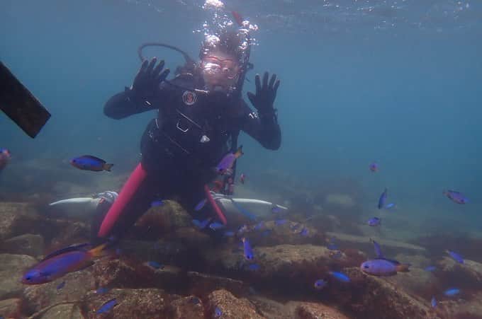 前田亜美さんのインスタグラム写真 - (前田亜美Instagram)「. 数日間、ダイビングライセンスを取得する為に 海行って潜ってきました〜〜🧜‍♀️🪸 . 前から挑戦したくてやっと( ᐛ )✊🏻‪ ̖́-‬ . . ちゃんと潜るのは初めてで最初はドキドキだったんだけど、数回潜っていくうちにコツを掴んで何とか海底まで行ったり泳いだりできました°･🐠. . . . 水族館にひとりで行くくらい魚を見たりするのが好きだから大自然で生きてる魚に出会えて感動しました🌊. . 海もすごく綺麗で透明度高くて楽しかったよ！海底は陸と比べて凄く冷たくて寒くて…海の力強さを感じました!!. . . .  パワーもらったし、行ったことのない、観たことない世界を体感出来て最高でした!!. . 2021年にダイビングライセンス取りたいってインスタに載せてたからちゃんと実現させて有言実行できたのも嬉しい✌️. . . 友達に紹介してもらって1人で講習受けて、 新しくダイビング仲間の友達も出来たし、、最終日には25mくらいまでみんなで潜ってほんと楽しかった！！！！. . . 海の中ではアリエルになった気分で…🧜‍♀️ Part of Your Worldが脳内再生されてました〜〜〜笑  まだ写真あるので載せますね🫧🌊🪸   #ダイビング  #ダイビングライセンス取得  #熱海  #初島  #海  #スキューバダイビング」7月24日 19時41分 - ami___maeda0601