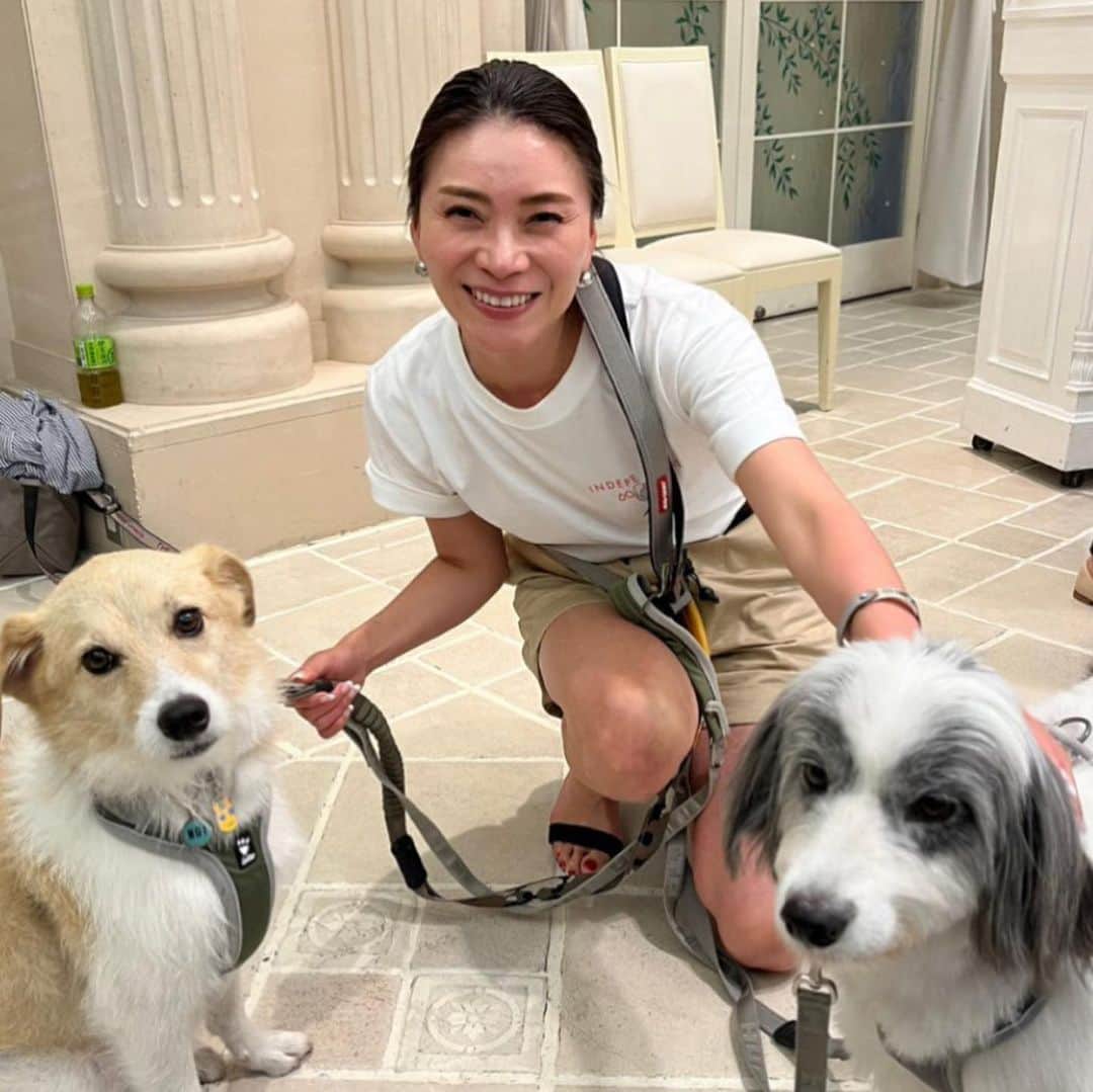 大日方久美子さんのインスタグラム写真 - (大日方久美子Instagram)「・ 湘南鎌倉クリスタルホテルで行われた犬の勉強会。  @shonankamakura_crystalhotel   湘南の保護団体 @shonan1leben さんが企画し80名以上の方がご参加くださいました。  日本一のトレーナーだと思っている @natural_dog_laws のリコ先生  私の保護活動の師匠 @rescue_dog_cat の美帆さん  野犬たちのヒーローで湘南の保護団体 @kdp_kanagawadogprotection の菊池さん @vahanasbarsight   Luckyを助けてくれた岩元さん @tsuki_hoshi.akitainu   こんな顔ぶれが一同に集まることは滅多にないことなので、私もとても楽しかったです。  噛み癖があったり色々な場面で吠えてしまったり早食いしてしまうなど沢山のご質問をいただき、できる限りお答えくださいました。  結局は私たち飼い主のエネルギーが犬たちに伝わり、不安に感じさせてしまっていることが大きな要因。  問題は全て私たちにあると学びました。  会場となった湘南鎌倉クリスタルホテルさんは、ロビーもイベント会場も懇親会会場全て犬OKをくださるスーパードッグフレンドリー！！  もう大好きになりました❤️ 一緒に泊まれるお部屋も沢山あって、ドッグランも併設していて最高です！  犬たちと一緒に集まるイベントなどで借りたい方、沢山いるんじゃないかな。  譲渡会にも使わせてくださっていて、こんな企業がもっともっと増えてくれることを願っています。  8月2日はLuckyを助けてくれた岩元さんが茨城の @ohana___cafe で野犬学のイベントを開催します。  野犬って？ 保健所って？ 保護ってどんなことをしてるの？ 捕獲ってどうやって？  色んなハテナ？を自由に聞いていいそうです。  しかも参加費無料！ お子さんと一緒に参加される方が沢山いらっしゃるといいなぁ。 夏休みの課題のテーマにしてくれたら嬉しいな！  茨城は今、センターに収容されている犬たちが溢れていると聞きました。  茨城の子たちにも目と心を向けてくださる方が増えるように私もできることを見つけたいと思います。  今日、外国人の方がお散歩をしていたのですが、保護された元野犬の子でした☺️❤️  野犬達は唯一無二のかっこよさがあるよね！と話してくれて、嬉しかったなぁ。  ・ ・ #湘南ワンレーベン  #保護活動 #保護犬 #保護猫」7月24日 19時33分 - kumi511976