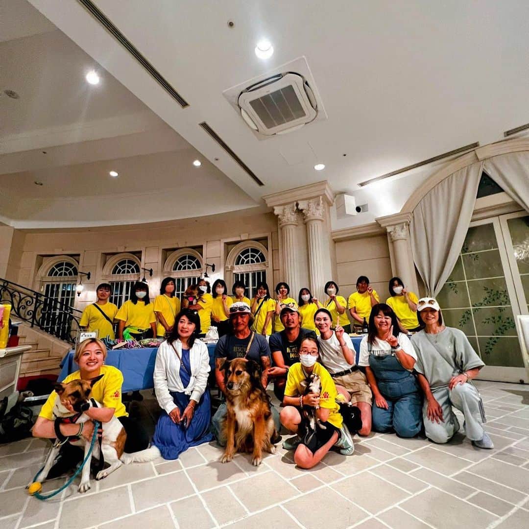 のインスタグラム：「・ 湘南鎌倉クリスタルホテルで行われた犬の勉強会。  @shonankamakura_crystalhotel   湘南の保護団体 @shonan1leben さんが企画し80名以上の方がご参加くださいました。  日本一のトレーナーだと思っている @natural_dog_laws のリコ先生  私の保護活動の師匠 @rescue_dog_cat の美帆さん  野犬たちのヒーローで湘南の保護団体 @kdp_kanagawadogprotection の菊池さん @vahanasbarsight   Luckyを助けてくれた岩元さん @tsuki_hoshi.akitainu   こんな顔ぶれが一同に集まることは滅多にないことなので、私もとても楽しかったです。  噛み癖があったり色々な場面で吠えてしまったり早食いしてしまうなど沢山のご質問をいただき、できる限りお答えくださいました。  結局は私たち飼い主のエネルギーが犬たちに伝わり、不安に感じさせてしまっていることが大きな要因。  問題は全て私たちにあると学びました。  会場となった湘南鎌倉クリスタルホテルさんは、ロビーもイベント会場も懇親会会場全て犬OKをくださるスーパードッグフレンドリー！！  もう大好きになりました❤️ 一緒に泊まれるお部屋も沢山あって、ドッグランも併設していて最高です！  犬たちと一緒に集まるイベントなどで借りたい方、沢山いるんじゃないかな。  譲渡会にも使わせてくださっていて、こんな企業がもっともっと増えてくれることを願っています。  8月2日はLuckyを助けてくれた岩元さんが茨城の @ohana___cafe で野犬学のイベントを開催します。  野犬って？ 保健所って？ 保護ってどんなことをしてるの？ 捕獲ってどうやって？  色んなハテナ？を自由に聞いていいそうです。  しかも参加費無料！ お子さんと一緒に参加される方が沢山いらっしゃるといいなぁ。 夏休みの課題のテーマにしてくれたら嬉しいな！  茨城は今、センターに収容されている犬たちが溢れていると聞きました。  茨城の子たちにも目と心を向けてくださる方が増えるように私もできることを見つけたいと思います。  今日、外国人の方がお散歩をしていたのですが、保護された元野犬の子でした☺️❤️  野犬達は唯一無二のかっこよさがあるよね！と話してくれて、嬉しかったなぁ。  ・ ・ #湘南ワンレーベン  #保護活動 #保護犬 #保護猫」