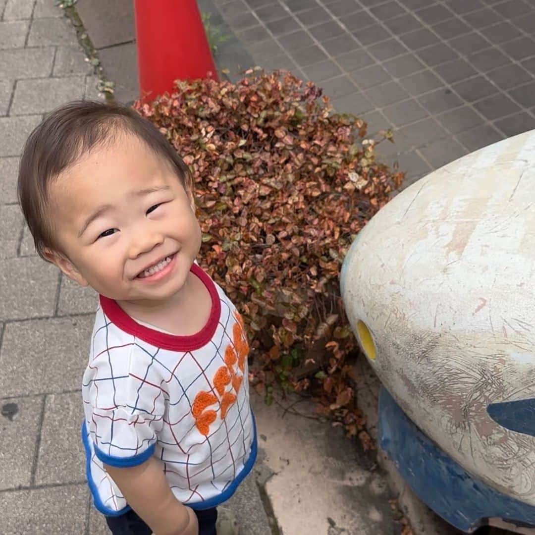 のインスタグラム：「暑中お見舞い申し上げます！ #やさ丸 #1歳6ヶ月」