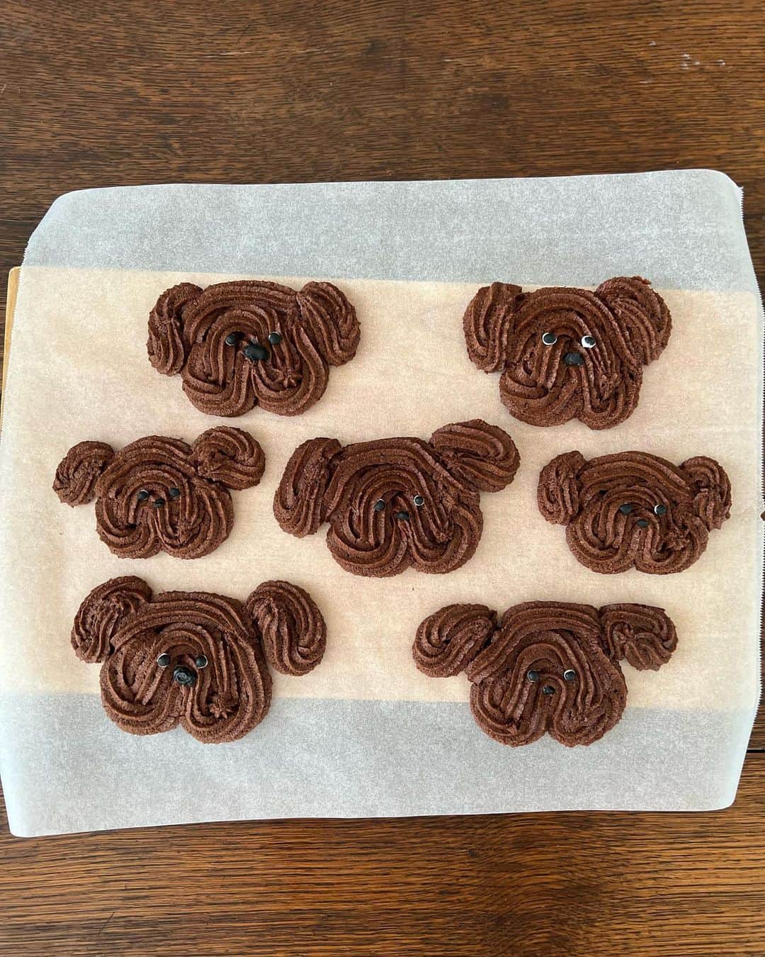 早川愛さんのインスタグラム写真 - (早川愛Instagram)「🐶🐶🐶🐶🐶  犬クッキー作ったよ🤎🤎🤎  くま🐻じゃないよ？  今回はお気に入りのお砂糖と卵黄も入れたから好きな味になった✨  ・  #ワンコクッキー #犬クッキー #クッキー作り #クッキー #絞り出しクッキー #homemade #cookies #dog」7月24日 11時08分 - megumegu_1006