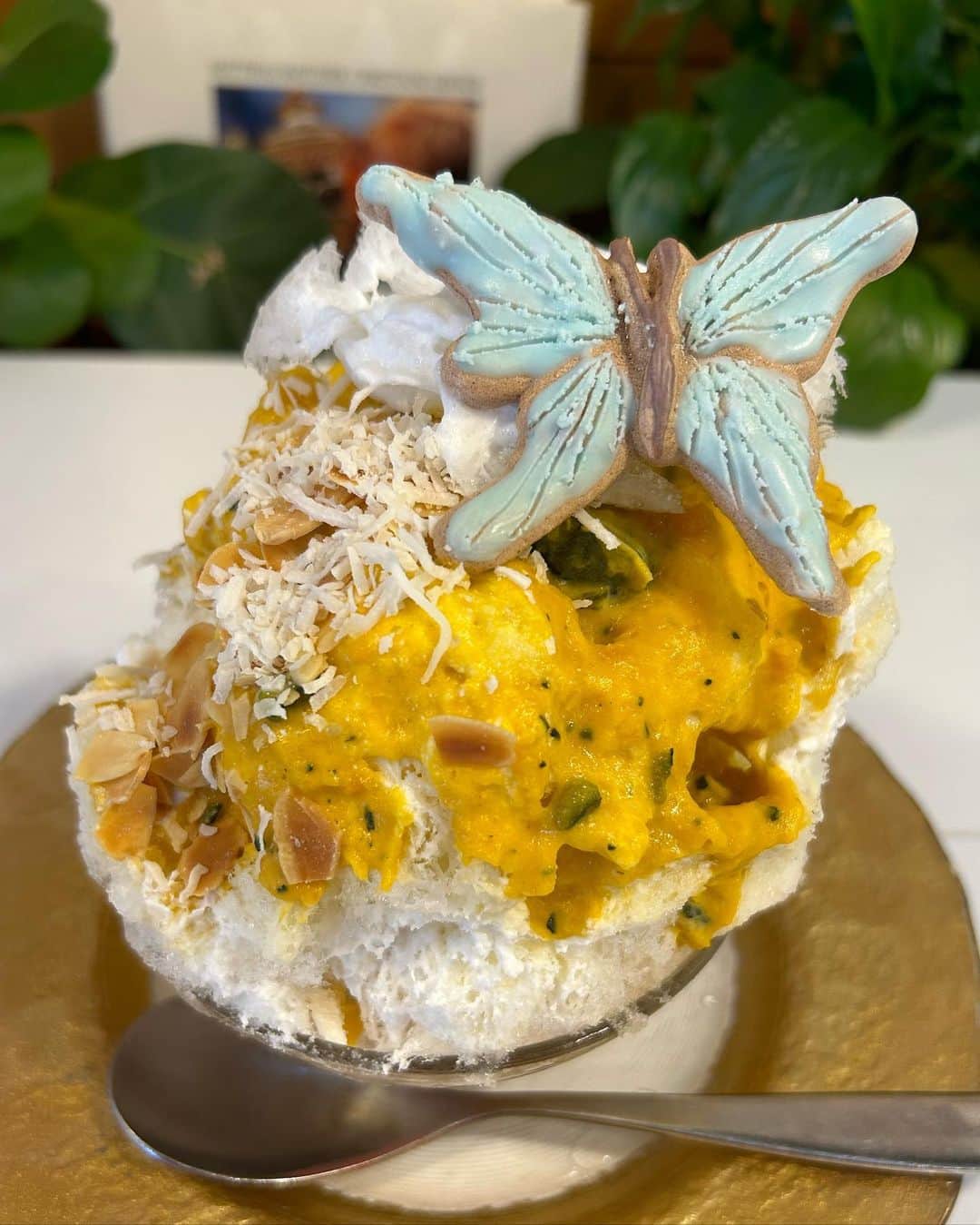 渚志帆さんのインスタグラム写真 - (渚志帆Instagram)「北品川『いちょうの木』さん🍧  ＊パイナップルコーヒー ＊チャイナブルー ＊夏かぼちゃ  いちょうの木さんの夏らしいメニュー達☀️ パイナップルコーヒーって外国にあるらしい😳 このビジュアルがちゃんと、パイナップルのクッキーにCOFFEEという文字があるのがもうパイナップルコーヒーだよね？☕️ パイナップルソースの濃厚な味わいも共にアーモンドシロップのまろやかな味わいも感じる😳 食べ進めていくと、なんかね、すごい知ってる味ですごい好きな味だこれなんだろうって思って食べてたら、ハッ！パッションフルーツが出てきたんです！！！！驚き桃の木山椒の木！！！！！ しかもパイナップルからローズに変化してすごく気持ちが良い🌺 底にはしっかりとコーヒーが☕💭 なんかすごい、パイナップルコーヒーってオシャンティーかつしっかり美味しい、、！ トレビア〜ン。 そして浮き輪に乗ったお姉さんがセクシーなチャイナブルー💙 ブルーハワイって聞いて、すごい懐かしさを思い出して食べてみたくなってオーダーしました！ 一口目はライチからさっぱりと始まります💨 マリブって初めて口にしたんだけど香りがストレートな感じでココナッツやラム味を感じてブランデーやウイスキーが好きな私にはすごく好みの味でした💫 やはりここでも夏を感じる素晴らしき逸品...！ すごく新しい感じで新鮮な味わいで美味しかった！✨ この時期にかぼちゃがある〜！とテンション上がり夏かぼちゃ🎃 蝶々可愛い🦋 王道なかぼちゃソースにヘーゼルナッツやアーモンドが入っており、驚いたのが焼きココナッツが入っていたこと！ 焼いてあることにより香ばしさが増してお口の中でココナッツが広がるこの幸せ空間！！！ そしてこの夏かぼちゃ、ただのかぼちゃで終わるかき氷ではなかったのです... 途中で生姜の味がして、😳！？ひやしあめが入っていたそう！ ピリッとパンチが効いて味変！ からの、お次はシナモンの心地よい香りと甘くスパイシーな味わいがきたのです！ しかもかぼちゃの甘さとシナモンの香辛料がバランス良くてすごく合うんです！ こりゃ美味しい😋 カカオニブのポリポリな食感も楽しい🍀 サクサク食べれちゃう構成神な一杯でした🌼 いちょうの木さんはほんと毎回メニューいっぱいで悩みに悩んで次に食べるのも食べながら考えたりしてそういうのも楽しくてかき氷の構成やビジュアルやワクワク感を引き出してくれるすごく楽しい氷屋さん🍧 また行きます！ご馳走様でした🙏✨」7月24日 20時00分 - totsuka_ruu