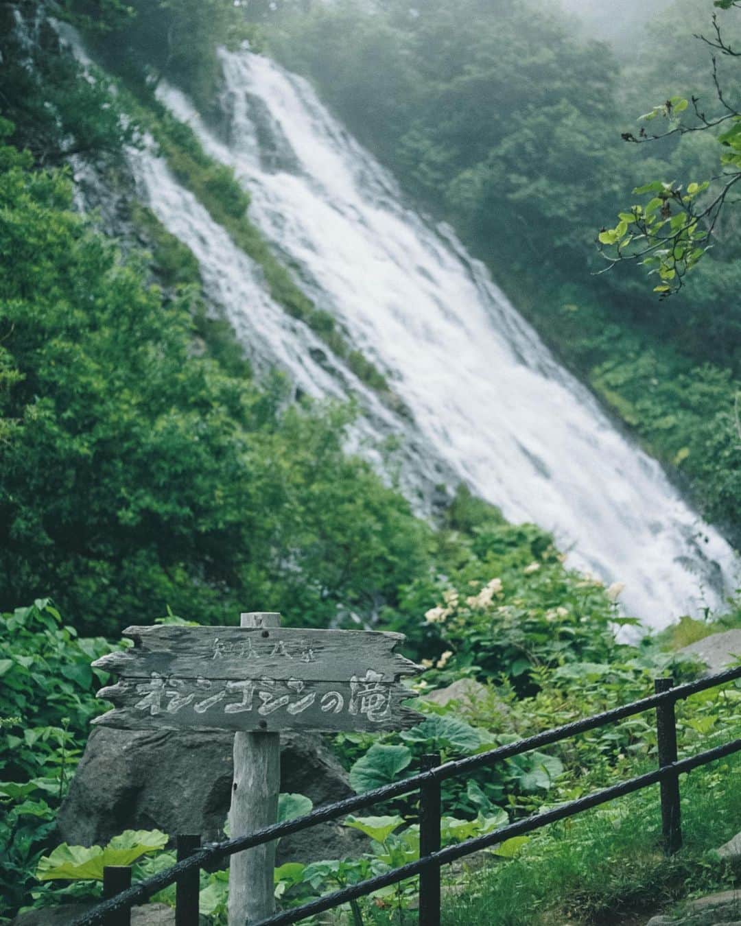 小川紗良さんのインスタグラム写真 - (小川紗良Instagram)「#film #filmphotography #waterfall #nature #北海道 #斜里 #滝 #自然」7月24日 12時18分 - iam_ogawasara