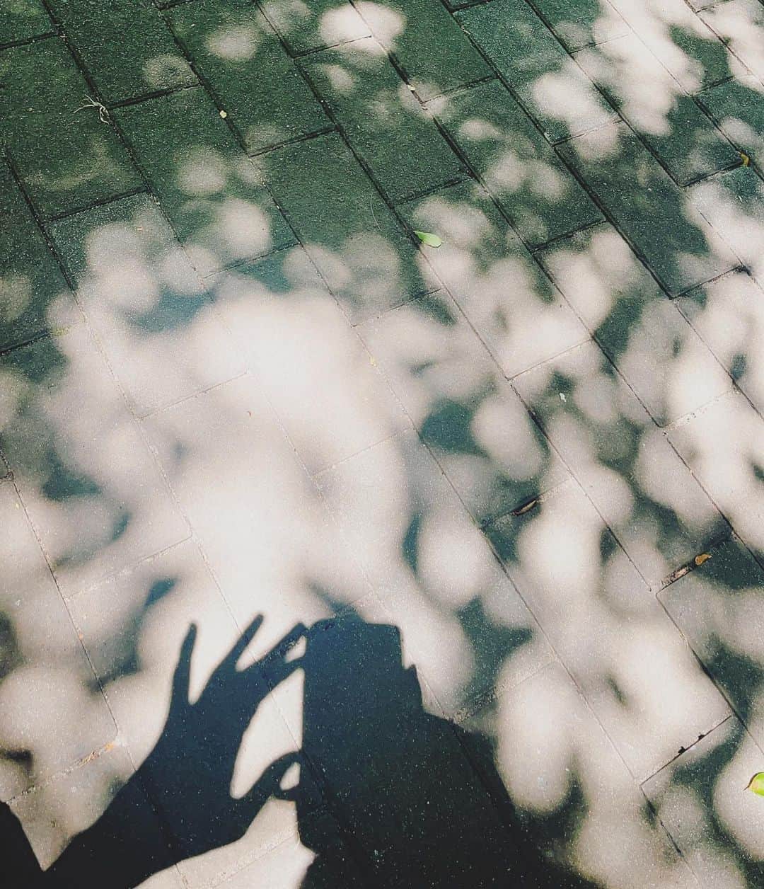 深川麻衣 さんのインスタグラム写真 - (深川麻衣 Instagram)「☀️🍃🌈」7月24日 13時01分 - fukagawamai.official