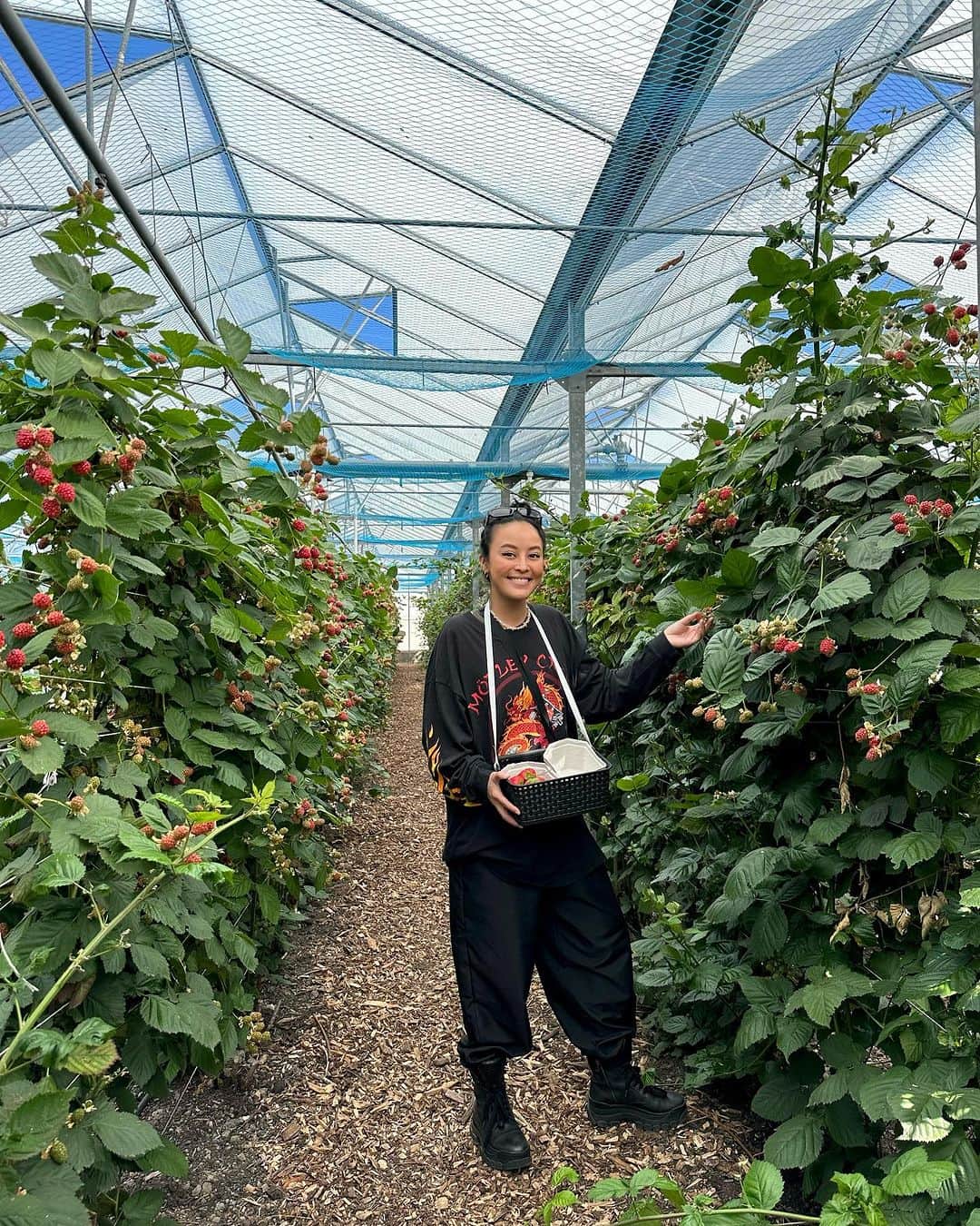 Amata Chittaseneeさんのインスタグラム写真 - (Amata ChittaseneeInstagram)「🍒🍓🍑 🍇picking fresh berries• @plukkerij_framblij_westland   พาเพื่อนๆมาเก็บผลไม้สดๆจากต้นในประเทศเนเธอร์แลนด์ค่ะ 🍓 ฤดูร้อนที่โซนยุโรปคือพีคสุด ผลไม้ตระกูล berry ออกกันเยอะมากเลยค่ะ 😍😍😍 รอบนี้แพรได้เก็บ strawberry, cherry , raspberry, red currents, Japanese vibe berry, blackberry และ blueberry 🫐ในสวนมีหลายโซนเลย มีโซนผลไม้เมล็ดแข็งเช่น Peach 🍑 Pear 🍐 Melon 🍈 โซนผักมี มะเขือเทศ 🍅 zucchini พริกหวาน 🫑แตงกวา eggplant 🍆  แต่ละวัน แต่ละอาทิตย์มีพืชผักผลไม้ที่แต่งต่างกัน ที่นี้เน้นการปลูกแบบ Bio สามารถกินสดๆโดยที่ไม่ต้องล้างน้ำได้เลย ไม่มีสารเคมี ครอบครัวพาลูกๆมาเก็บผลไม้กิน วิ่งเล่นกันสนุกสนาน  🍒🍑🍋🍅🍏🍐🍇🍊🍎🥦  สวนผลไม้ชื่อ Plukkerij Framblij ค่าเข้าคนละ 3 ยูโร เมื่อเก็บผลไม้แล้วก็นำมาจ่ายเงินคิดตามน้ำหนักของผลไม้ที่เก็บมา // เดินทางโดยรถไฟและรถเมล์ ดูรายละเอียดเพิ่มเติมที่นี้ https://plukkerijframblij.nl #pearypiegoesgreen #pearypiearoundtheworld #netherlands」7月24日 13時06分 - pearypie