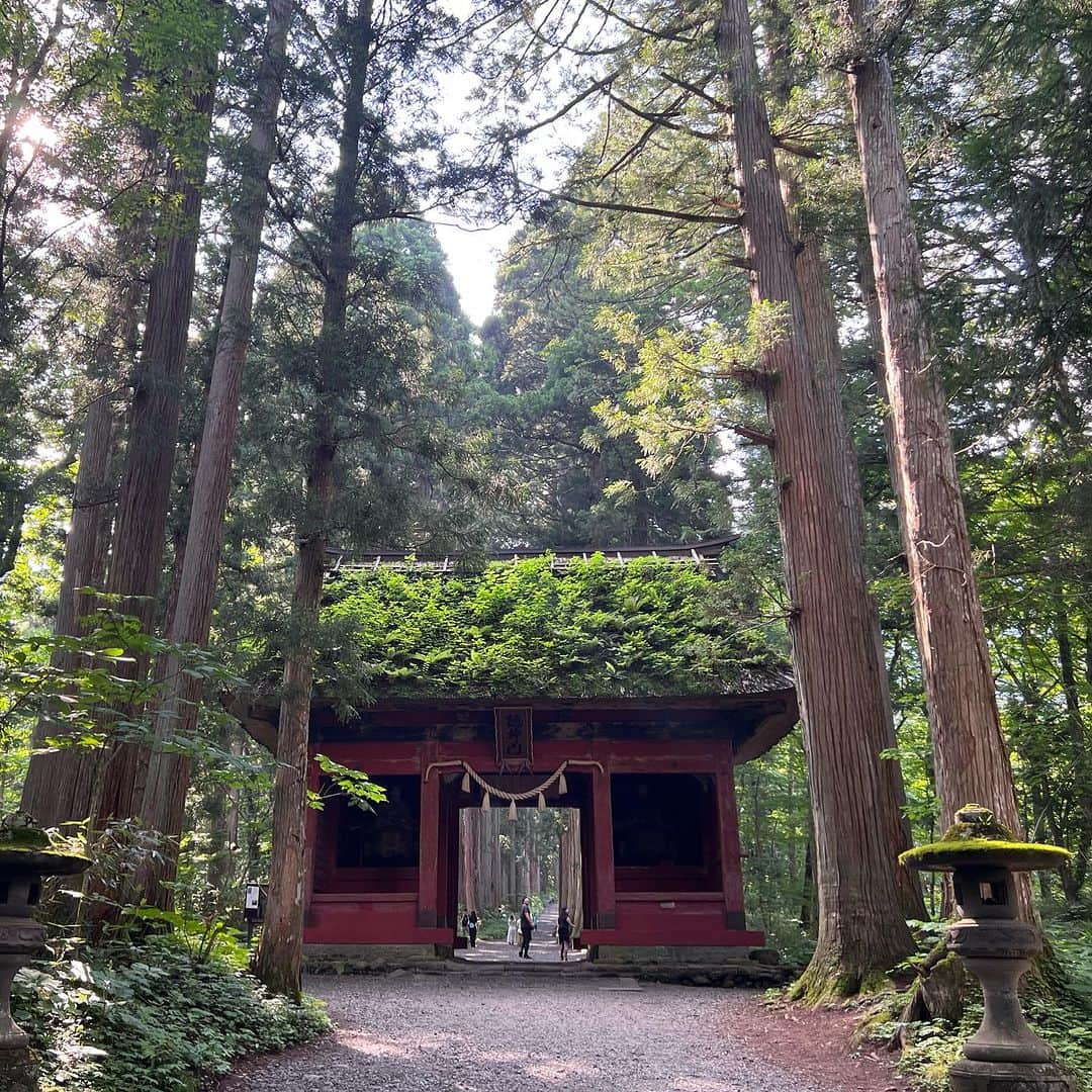 安田美沙子さんのインスタグラム写真 - (安田美沙子Instagram)「先日、家族で戸隠神社へ行ってまいりました✨  ずっと行ってみたかった。。 私と長男で行く！ と話したらパパは地元が近いらしく家族で行くことに。。  全てが初めてで、自然の偉大さに圧倒された。  手前からまわったけど奥社だけ、まずはアップします。  次男3歳半にして奥社の参道を元気に往復。  大したもんだ。  大人でも長い&たまに険しい道のりなのに。 今日は足が棒です。笑  樹齢何百年の杉があちらこちらに。。大先輩が沢山居て、なんて自分はちっぽけなんだと。  お参りも大切だけど道のりも大切。  忍者村は🥷行けなかったから、また行こうと約束しました。  #戸隠 #戸隠神社 #奥社 #高千穂も行きたい #奥社 #杉」7月24日 14時27分 - yasuda_misako