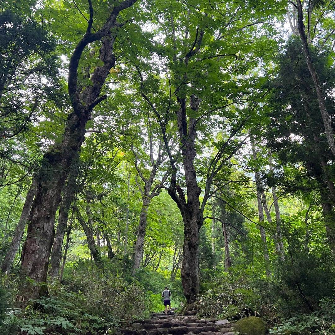 安田美沙子さんのインスタグラム写真 - (安田美沙子Instagram)「先日、家族で戸隠神社へ行ってまいりました✨  ずっと行ってみたかった。。 私と長男で行く！ と話したらパパは地元が近いらしく家族で行くことに。。  全てが初めてで、自然の偉大さに圧倒された。  手前からまわったけど奥社だけ、まずはアップします。  次男3歳半にして奥社の参道を元気に往復。  大したもんだ。  大人でも長い&たまに険しい道のりなのに。 今日は足が棒です。笑  樹齢何百年の杉があちらこちらに。。大先輩が沢山居て、なんて自分はちっぽけなんだと。  お参りも大切だけど道のりも大切。  忍者村は🥷行けなかったから、また行こうと約束しました。  #戸隠 #戸隠神社 #奥社 #高千穂も行きたい #奥社 #杉」7月24日 14時27分 - yasuda_misako