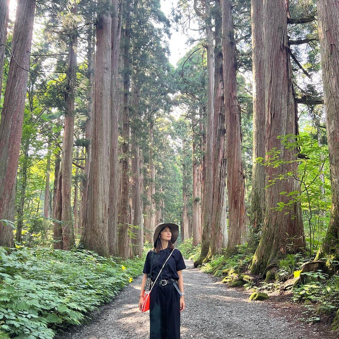 安田美沙子さんのインスタグラム写真 - (安田美沙子Instagram)「先日、家族で戸隠神社へ行ってまいりました✨  ずっと行ってみたかった。。 私と長男で行く！ と話したらパパは地元が近いらしく家族で行くことに。。  全てが初めてで、自然の偉大さに圧倒された。  手前からまわったけど奥社だけ、まずはアップします。  次男3歳半にして奥社の参道を元気に往復。  大したもんだ。  大人でも長い&たまに険しい道のりなのに。 今日は足が棒です。笑  樹齢何百年の杉があちらこちらに。。大先輩が沢山居て、なんて自分はちっぽけなんだと。  お参りも大切だけど道のりも大切。  忍者村は🥷行けなかったから、また行こうと約束しました。  #戸隠 #戸隠神社 #奥社 #高千穂も行きたい #奥社 #杉」7月24日 14時27分 - yasuda_misako