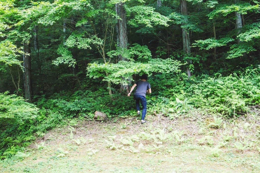 SHANKさんのインスタグラム写真 - (SHANKInstagram)「2023.7.23 "焼來肉ロックフェス2023" 長野 野底山森林公園 photo by @naoto_iwabuchi_  #SHANK #SHANK095 #SHANK095JPN」7月24日 14時35分 - shank095jpn