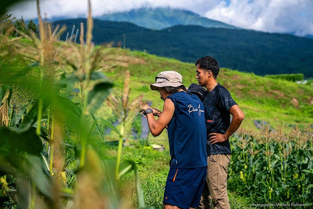 石川直宏さんのインスタグラム写真 - (石川直宏Instagram)「『いよいよ発送開始🌽』  7/20-21  収穫間近の"なおもろこし"を最終チェック🌽  あと3日くらいは我慢っ！ という事で初収穫とはならなかったけど、もいでかじって味の確認。  味は、、、 写真を見ての通りです😆  「これよ！これっ！！」  1年ぶりの再会👨🏽‍🌾🤝🌽 早く皆さんにも味わって笑顔になってもらいたい😊✨  明日7/25(火)から、順次発送予定です🗓️  お楽しみに♪  ⭐︎続報  ・飯綱町のふるさと納税でもこちらの"なおもろこし"ご注文　　開始しています。お世話になっている地域への還元🤝  ・8/12 19:00k/o v.s 京都 早朝収穫して、そのまま味スタへ。青赤パークにて販売も決定しました🔵🔴  詳しくはそれぞれのHPからご確認下さい！！  ※引き続きご注文受付中です🌽 インスタプロフィール欄に添付されているURLからHPをご覧下さい。  #NAOsFARM #NAOsFAsM2023 #みみずや @mimizuya.nagano  #とうもろこし #なおもろこし #なおもろこしゴールド #惚れるなおもろこし #Iizuna #飯綱 #Nagano #長野 #アスリートが化ける場 #農 #農業 #農ライフ #farm #farmer  #NAOsFARM農場長見習い から #NAOsFARM農場長 へ #NaohiroIshikawa #石川直宏  photo by Atsushi Kishimoto @k.atsushi96」7月24日 14時48分 - sgss.18