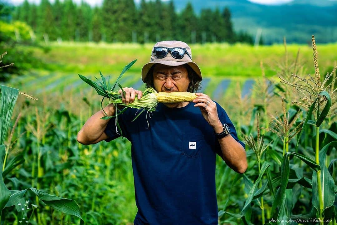 石川直宏さんのインスタグラム写真 - (石川直宏Instagram)「『いよいよ発送開始🌽』  7/20-21  収穫間近の"なおもろこし"を最終チェック🌽  あと3日くらいは我慢っ！ という事で初収穫とはならなかったけど、もいでかじって味の確認。  味は、、、 写真を見ての通りです😆  「これよ！これっ！！」  1年ぶりの再会👨🏽‍🌾🤝🌽 早く皆さんにも味わって笑顔になってもらいたい😊✨  明日7/25(火)から、順次発送予定です🗓️  お楽しみに♪  ⭐︎続報  ・飯綱町のふるさと納税でもこちらの"なおもろこし"ご注文　　開始しています。お世話になっている地域への還元🤝  ・8/12 19:00k/o v.s 京都 早朝収穫して、そのまま味スタへ。青赤パークにて販売も決定しました🔵🔴  詳しくはそれぞれのHPからご確認下さい！！  ※引き続きご注文受付中です🌽 インスタプロフィール欄に添付されているURLからHPをご覧下さい。  #NAOsFARM #NAOsFAsM2023 #みみずや @mimizuya.nagano  #とうもろこし #なおもろこし #なおもろこしゴールド #惚れるなおもろこし #Iizuna #飯綱 #Nagano #長野 #アスリートが化ける場 #農 #農業 #農ライフ #farm #farmer  #NAOsFARM農場長見習い から #NAOsFARM農場長 へ #NaohiroIshikawa #石川直宏  photo by Atsushi Kishimoto @k.atsushi96」7月24日 14時48分 - sgss.18