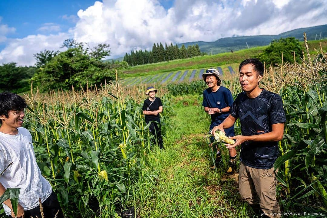 石川直宏さんのインスタグラム写真 - (石川直宏Instagram)「『いよいよ発送開始🌽』  7/20-21  収穫間近の"なおもろこし"を最終チェック🌽  あと3日くらいは我慢っ！ という事で初収穫とはならなかったけど、もいでかじって味の確認。  味は、、、 写真を見ての通りです😆  「これよ！これっ！！」  1年ぶりの再会👨🏽‍🌾🤝🌽 早く皆さんにも味わって笑顔になってもらいたい😊✨  明日7/25(火)から、順次発送予定です🗓️  お楽しみに♪  ⭐︎続報  ・飯綱町のふるさと納税でもこちらの"なおもろこし"ご注文　　開始しています。お世話になっている地域への還元🤝  ・8/12 19:00k/o v.s 京都 早朝収穫して、そのまま味スタへ。青赤パークにて販売も決定しました🔵🔴  詳しくはそれぞれのHPからご確認下さい！！  ※引き続きご注文受付中です🌽 インスタプロフィール欄に添付されているURLからHPをご覧下さい。  #NAOsFARM #NAOsFAsM2023 #みみずや @mimizuya.nagano  #とうもろこし #なおもろこし #なおもろこしゴールド #惚れるなおもろこし #Iizuna #飯綱 #Nagano #長野 #アスリートが化ける場 #農 #農業 #農ライフ #farm #farmer  #NAOsFARM農場長見習い から #NAOsFARM農場長 へ #NaohiroIshikawa #石川直宏  photo by Atsushi Kishimoto @k.atsushi96」7月24日 14時48分 - sgss.18