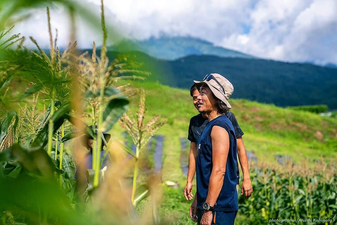 石川直宏さんのインスタグラム写真 - (石川直宏Instagram)「『いよいよ発送開始🌽』  7/20-21  収穫間近の"なおもろこし"を最終チェック🌽  あと3日くらいは我慢っ！ という事で初収穫とはならなかったけど、もいでかじって味の確認。  味は、、、 写真を見ての通りです😆  「これよ！これっ！！」  1年ぶりの再会👨🏽‍🌾🤝🌽 早く皆さんにも味わって笑顔になってもらいたい😊✨  明日7/25(火)から、順次発送予定です🗓️  お楽しみに♪  ⭐︎続報  ・飯綱町のふるさと納税でもこちらの"なおもろこし"ご注文　　開始しています。お世話になっている地域への還元🤝  ・8/12 19:00k/o v.s 京都 早朝収穫して、そのまま味スタへ。青赤パークにて販売も決定しました🔵🔴  詳しくはそれぞれのHPからご確認下さい！！  ※引き続きご注文受付中です🌽 インスタプロフィール欄に添付されているURLからHPをご覧下さい。  #NAOsFARM #NAOsFAsM2023 #みみずや @mimizuya.nagano  #とうもろこし #なおもろこし #なおもろこしゴールド #惚れるなおもろこし #Iizuna #飯綱 #Nagano #長野 #アスリートが化ける場 #農 #農業 #農ライフ #farm #farmer  #NAOsFARM農場長見習い から #NAOsFARM農場長 へ #NaohiroIshikawa #石川直宏  photo by Atsushi Kishimoto @k.atsushi96」7月24日 14時48分 - sgss.18