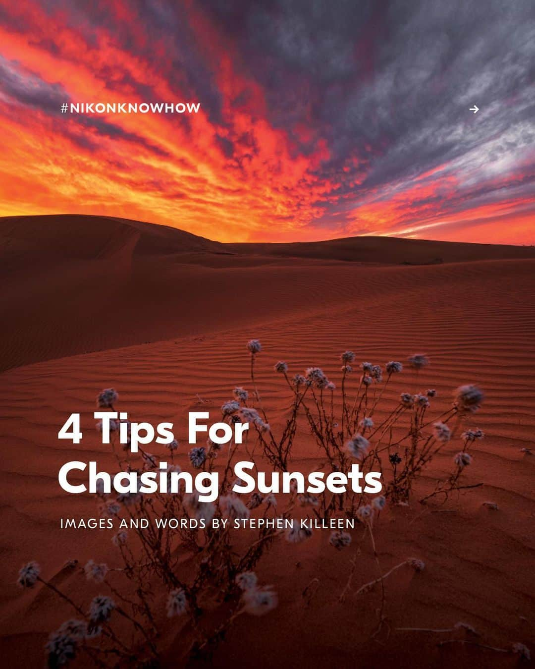 Nikon Australiaのインスタグラム：「Want to learn how to capture the different stages of a sunset in unique ways?  In today's #NikonKnowHow, @vastdepthphotography shares his best tips for capturing the transition between golden hour and blue hour in his 4 Tips for Chasing Sunsets.  Swipe through to read them all!  #Nikon #NikonAustralia #MyNikonLife #NikonKnowHow #Z6 #Zseries #LandscapePhotography #SunsetPhotography #Australia」