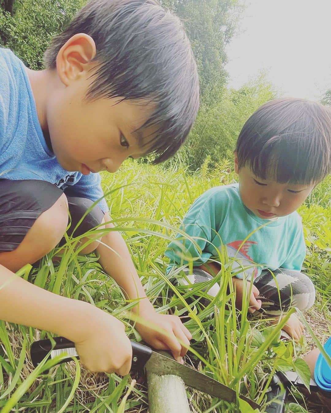 生尾佳子さんのインスタグラム写真 - (生尾佳子Instagram)「早速夏の思い出作り。 山探検で虫取りやカブトムシの仕掛け、竹を切ってきて食器作り、畑で野菜狩りして夜は子供達のバーベキューから夜の探検、んで宿でも遊ぶ… 翌日朝からゲームして、川遊びして締めの流しそうめん（全部手作りだよ） もちろん空いた時間は鬼ごっこw 葵も汀も友達作り遊び上手だわぁ〜 大人も久々にくったくたになるまで遊びました。また遊ぼう！って子供達で約束してました。なんか…青春！ #山賊体験 #大山千枚田」7月24日 16時56分 - yotikoikuo