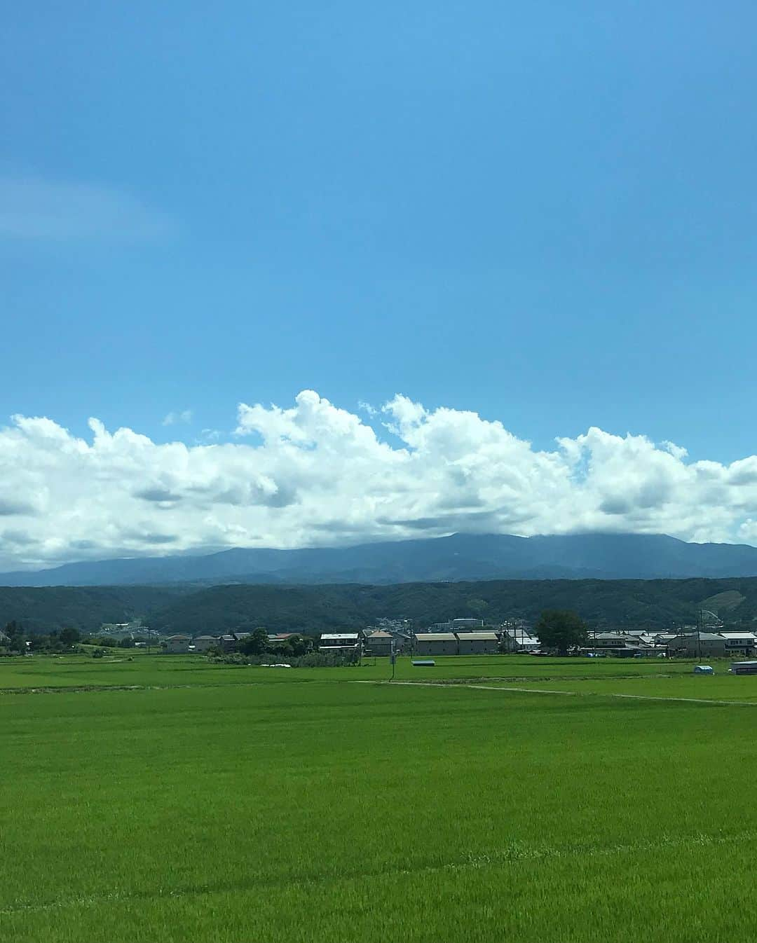 伊藤聡子さんのインスタグラム写真 - (伊藤聡子Instagram)「写真がたまってしまいました〜💦 先々週のten.の衣装はピンクの花柄ワンピースでした😊 北陸新幹線から見た新潟の夏！ #かんさい情報ネットten #上越妙高#伊藤聡子」7月24日 17時12分 - satokoito73