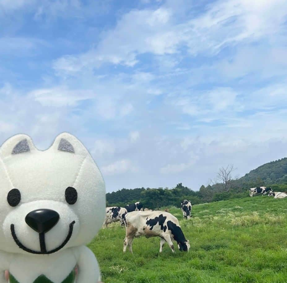 きいちゃんさんのインスタグラム写真 - (きいちゃんInstagram)「． きいちゃん牛を見に牧場にいってきました🐮  ココはどこでしょうか？ （ヒント） ・和歌山県北部 ・とっても景色が良かったです⛰  正解は、海南市にある黒沢牧場でした！」7月24日 17時19分 - wakayamapref_pr