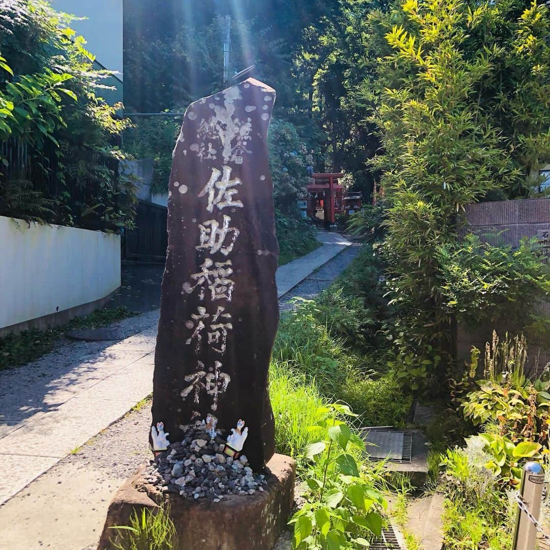 恒吉梨絵さんのインスタグラム写真 - (恒吉梨絵Instagram)「夏が始まった！！ 鎌倉へ行って海にも行って足だけ海水浴🏖️  生しらすウニいくら3色丼❤️ 地ビール🍺 あー最高😍❤️  佐助稲荷神社でしっかり参拝⛩️  #鎌倉#海#海っていいな#鎌倉釜飯かまかま本店#かまかま#海鮮丼#鎌倉ビール#佐助稲荷神社」7月24日 17時46分 - rietsuneyoshi1