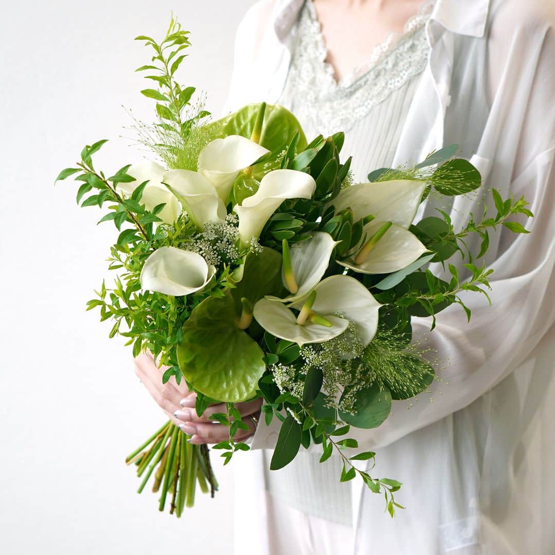 AOYAMA_HANAMOさんのインスタグラム写真 - (AOYAMA_HANAMOInstagram)「夏の季節に贈りたい、爽やかな白グリーンのブーケ。 ・ ハート型のつやのある花（苞葉）が特徴のアンスリウム、カラーやレースフラワー、リューカデンドロンなど。丸い葉のユーカリや細やかなリーフの自然な動きを生かして、広がるようなシルエットに仕上げました。 白とグリーンの2色を基調に、青山花茂のデザイナーが花選びにこだわってお作りした、オーダーブーケです。 ・ トロピカルなイメージのデザインにも多用される個性的なフォルムで、夏を最盛期とする花の代表格のひとつ、アンスリウム。 花に見える部分は苞（ほう）と呼ばれ、品種によってさまざまな色があります。 切り花のアンスリウムは、何といっても日持ちの良さが魅力です。暑い夏の時期もこまめに水切りや水換えをして、ぜひ楽しんでみてくださいね。 - - - #aoyamahanamo #青山花茂 #お花のある生活 #花が好きな人と繋がりたい #花を飾ろう #花のある暮らし #花のあるくらし #花のある日常 #癒しの花 #季節の花 #旬の花 #花とおうち時間 #花贈り #フラワーギフト #花の贈り物 #アンスリウム #カラー #レースフラワー #リューカデンドロン #スモークグラス #ユーカリ #オーダーメイドブーケ #青山花茂おまかせブーケ #花束 #ブーケ #季節の花束 #ナチュラルブーケ #アンスリウムブーケ #クラッチブーケ」7月24日 18時00分 - aoyama_hanamo