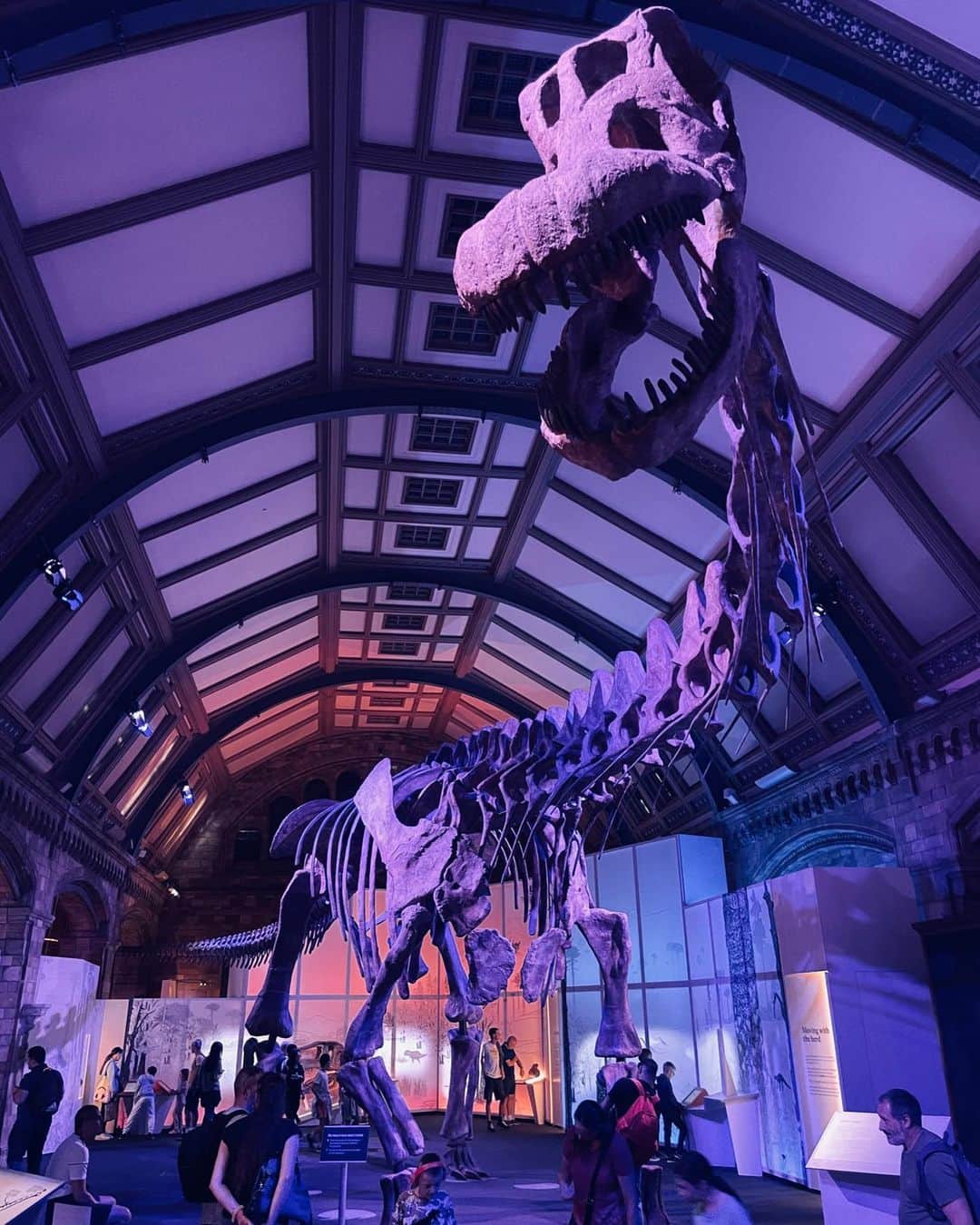 原沙知絵さんのインスタグラム写真 - (原沙知絵Instagram)「ロンドン自然史博物館 (The Natural History Museum)は、なんと常設展は無料！住んでいたら毎日でも行きたい🦕🦕見たことのない恐竜titanosaurの特別展(特別展だけは有料)が行われていたので楽しみに入ってみると、アニメーション動画での説明はとてもわかりやすく、恐竜の体の下に潜れるしで大興奮でした。  #ロンドン自然史博物館  #自然史博物館 #titanosaur #恐竜 #旅 #journy  #london @outil_vetements」7月24日 18時01分 - harasachie
