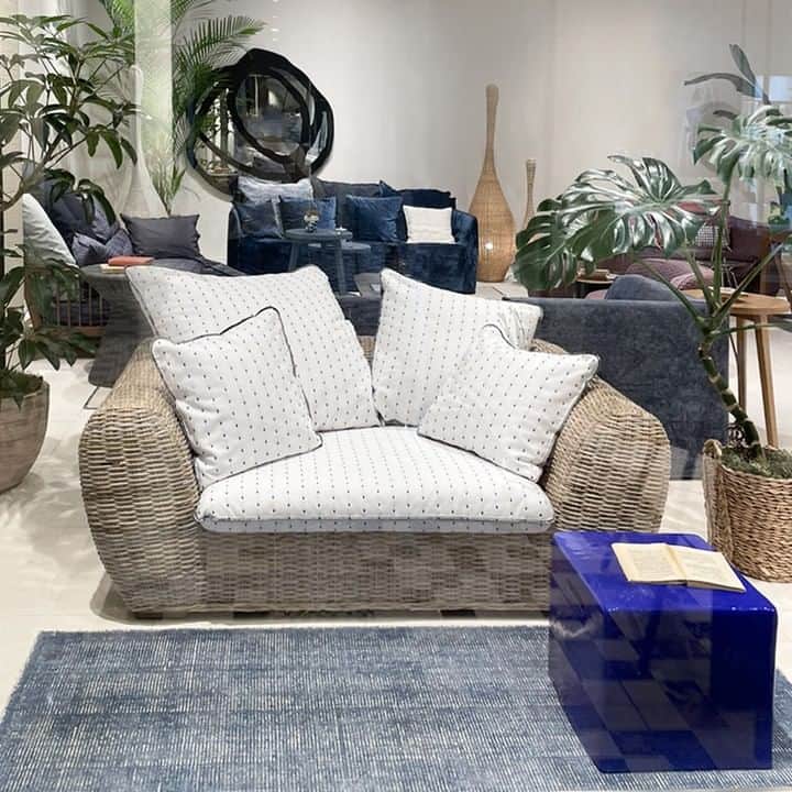 GERVASONI JAPAN / ジェルバゾーニ ジャパンのインスタグラム：「【 SALEのご案内 】  セールを行っております！  皆さまのご来店心よりお待ち申し上げております。  ・・・  GERVASONI TOKYOにて現品限りの展示品特別セールを開催中です。先日、セール対象品を一部変更致しました。 セール期間中は、30～50%OFFにてご提供させていただきますので、是非ご来店くださいませ。  【 期間 】 2023年6月24日(土) ～ 8月23日(水)  【 GERVASONI TOKYO 】 〒107-0061 東京都港区北青山3 丁目11-7 Ao ビル 1F 営業時間：11:00 ～ 20:00 Tel. 03-5962-6477 mail : info@gervasoni.jp  ※一部対象外の商品もございます。予めご了承くださいませ。 ※展示内容につきましてはお手数ではございますが店頭にてご確認くださいませ。 ※お品物のお届けは、ご注文後1ヶ月以内に限らせていただきます。 ・ ・ ・　　　　　　　　　　　　　　　　　　　　　　　　　　　　　　　　　　　　　　#gervasoni1882 #gervasonitokyo #luxuryfurniture #furniture #interior #ジェルバゾーニ #インテリア #家具 #インテリアデザイン #インテリアコーディネート #レイアウト #ライフスタイル #デザイン #イタリア家具 #リビング #アウトドア #豊かな暮らし #セール #イベント情報 #OUTDOOR #住宅デザイン #空間コーディネート」