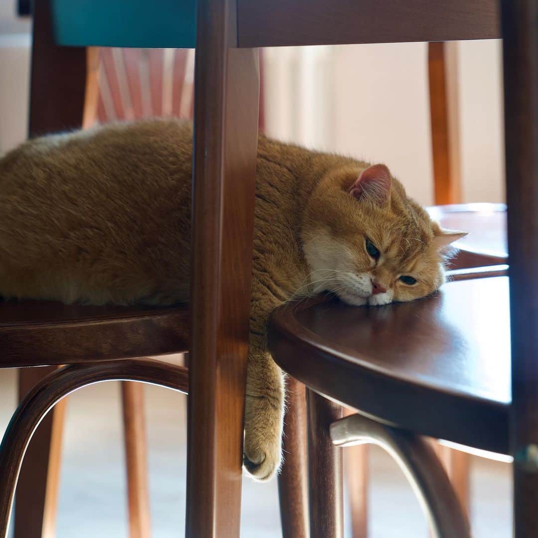 Hosicoのインスタグラム：「Monday mood ❤️」