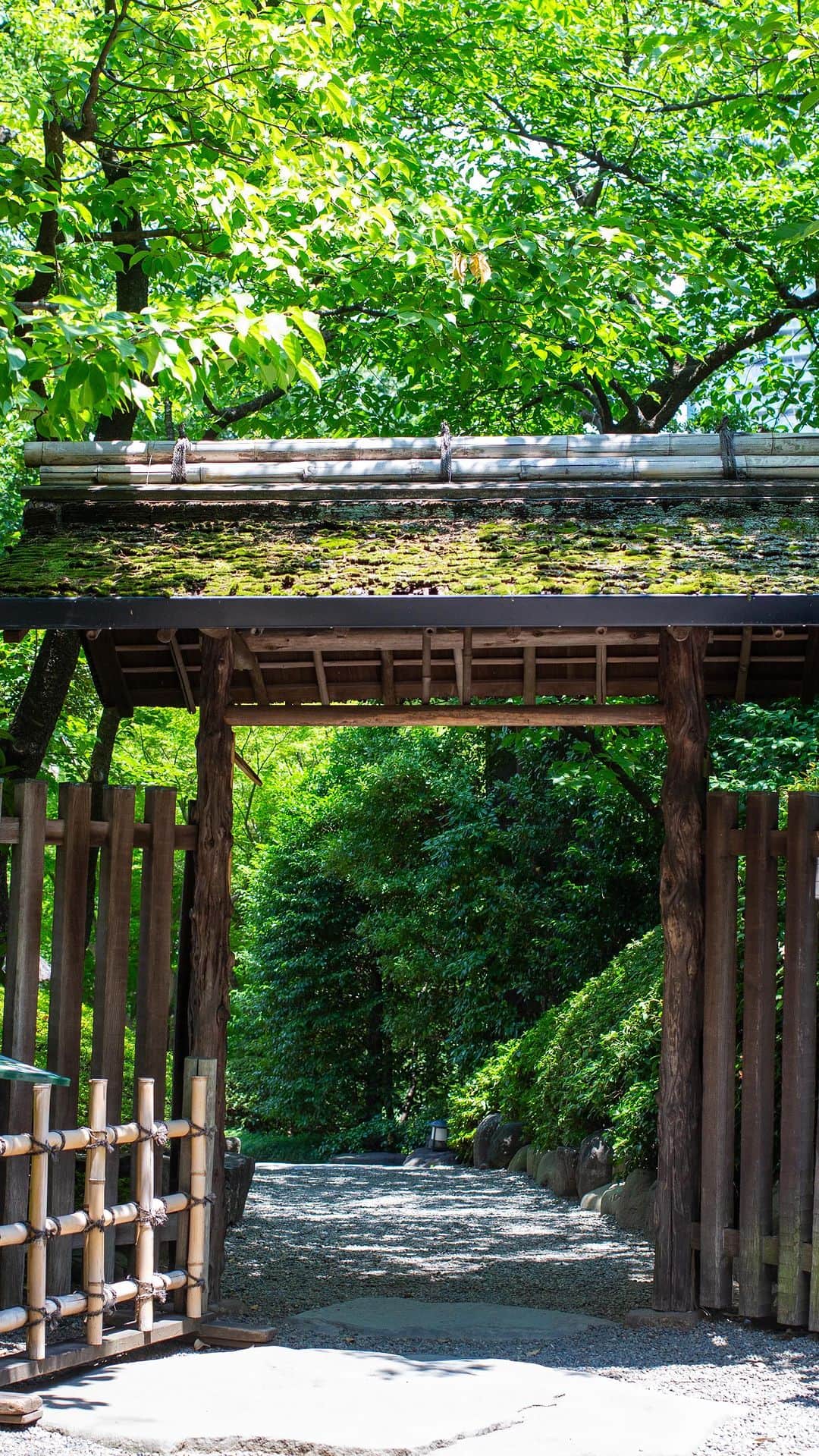 八芳園のインスタグラム：「日本庭園の玄関口である「木戸門」。 この門を潜るときには、少しだけ頭を下げる必要があります。  これは、「全ては礼に始まり、礼に終わる」という武士道の規範を反映し、屋根が意図的に低く建てられているためです。  「木戸門」の周りには河津桜が植えられており、早春には満開の桜に小鳥たちが訪れる華やかな景色が広がります。  四季折々の庭園の風景を、お愉しみください。  “Kidomon”, the entrance to the Japanese garden. This gate marks the entrance to our garden, but it also serves for another purpose. When you pass through this gate you will find that you will need to bow your head as the roof was deliberately built lower to reflect the Samurai Bushido code which states: “Everything starts and ends with a bow”.  The “Kidomon” is also a popular photo spot due to the Kawazu-Sakura that grow near the gate. This type of cherry tree is in full bloom from mid-February.」