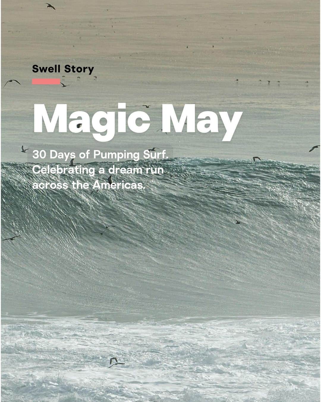 surflineさんのインスタグラム写真 - (surflineInstagram)「May was magic: four weeks of pumping surf across the Americas.  By the first week of June, many surfers were spent. Sleepwalking. Many couldn’t remember one swell over another ’cause they all ran together in a kind of, well, dream. ‘Course by June 15th, relationships mended, boards fixed, wetsuits dried, everyone started looking for the next one.   The wait would turn out to be longer than any of us would hope for.   Cure your flat spell blues by checking out Magic May at the link in our bio.」7月25日 5時20分 - surfline