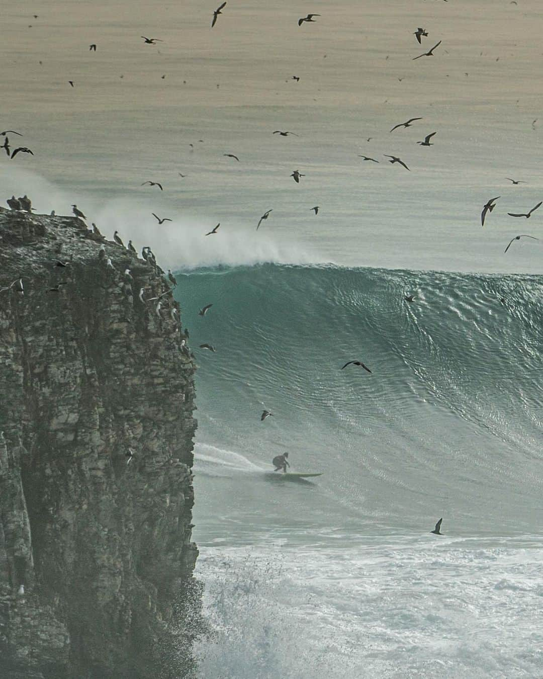 surflineのインスタグラム：「May was magic: four weeks of pumping surf across the Americas.  By the first week of June, many surfers were spent. Sleepwalking. Many couldn’t remember one swell over another ’cause they all ran together in a kind of, well, dream. ‘Course by June 15th, relationships mended, boards fixed, wetsuits dried, everyone started looking for the next one.   The wait would turn out to be longer than any of us would hope for.   Cure your flat spell blues by checking out Magic May at the link in our bio.」