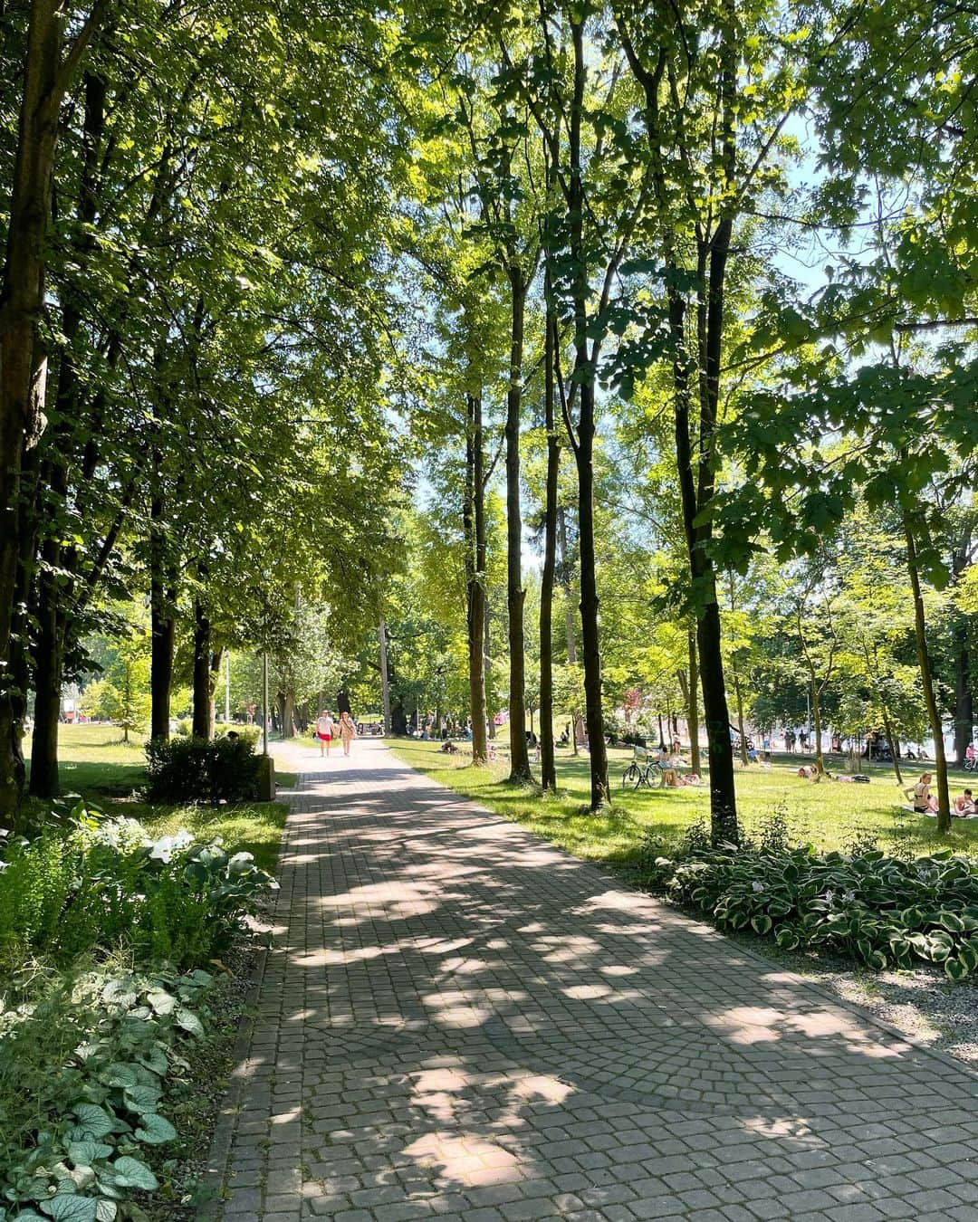 ユリア・シェチニンさんのインスタグラム写真 - (ユリア・シェチニンInstagram)「Polish diaries🇵🇱😌🍃 • #poland #travel #nature #summer #figureskating #pairskating」7月25日 4時50分 - iouliachtchetinina