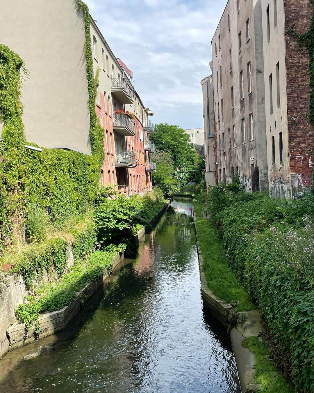 ユリア・シェチニンさんのインスタグラム写真 - (ユリア・シェチニンInstagram)「Polish diaries🇵🇱😌🍃 • #poland #travel #nature #summer #figureskating #pairskating」7月25日 4時50分 - iouliachtchetinina