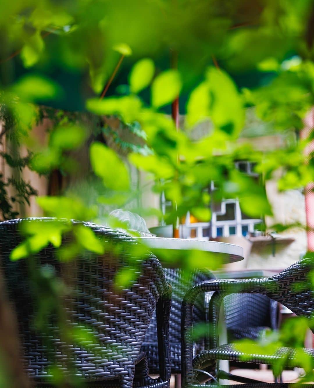カフェ ラ・ボエムさんのインスタグラム写真 - (カフェ ラ・ボエムInstagram)「緑に囲まれた、カフェ ラ・ボエム白金 (@boheme_shirogane) のテラス席は人気です。ご予約を早めに 🍝🪑⁠ Surrounded by greenery, the terrace area at Cafe La Boheme in Shirokane is perfect for outdoor dining. It’s quite popular, so make your reservation quick! 🌲🍂⁠ ⁠」7月25日 5時00分 - boheme_gd