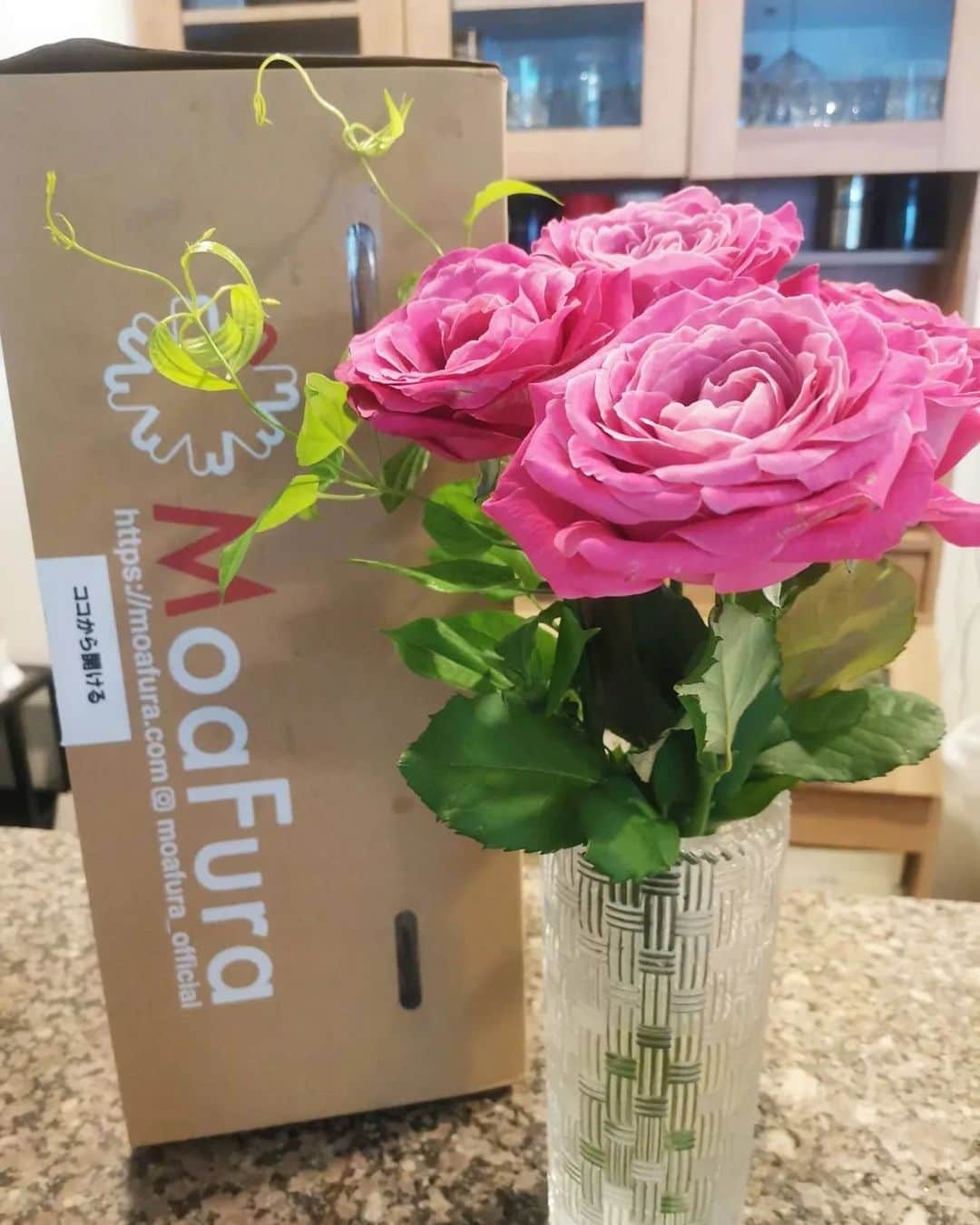 杉山由紀子さんのインスタグラム写真 - (杉山由紀子Instagram)「💐@moafura_official 今月もきたよー♡  今回は可愛い【ｵｰﾙ4ﾗﾌﾞ＋利休草】💐  ピンクが凄くキレイで飾っただけで お部屋がパッと明るくなります🌹💕  しらたまもいつもお花がくると くんくん興味があるみたい😊  ほんとここのお花大好き✨✨  #moafura #モアフラ #お花の定期便 #お花のある暮らし #バラ花束 #バラ定期便 #バラサブスク #バラギフト #お花のある暮らし #バラ #花 #flower #氣 #大人かわいい #ピンク薔薇 #ピンク好き」7月24日 20時22分 - yukikosugiyama