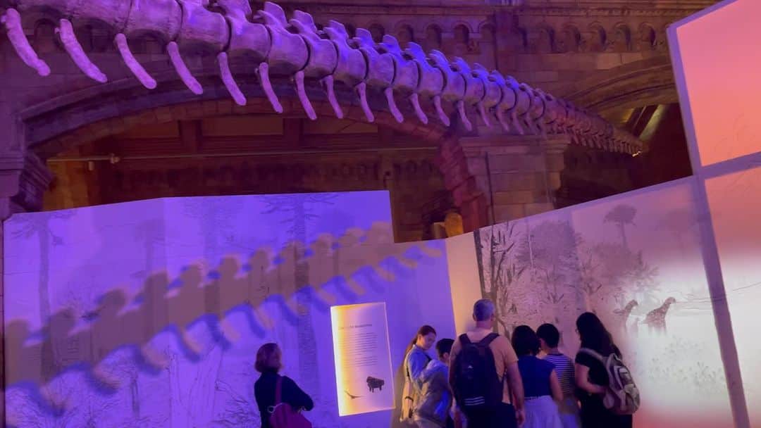 原沙知絵のインスタグラム：「#ロンドン自然史博物館  #自然史博物館 #titanosaur #恐竜 #旅 #journy  #london」
