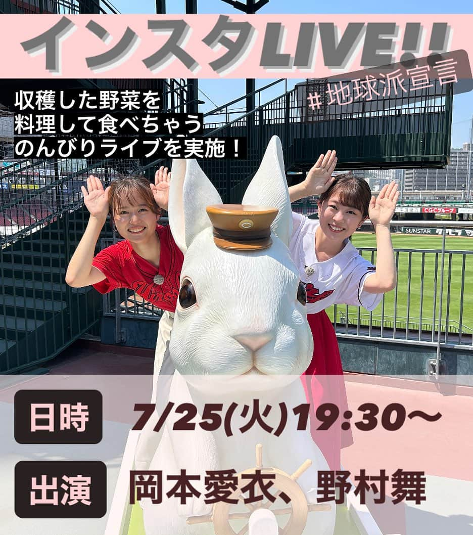 広島ホームテレビ「HOME NEXT neo」のインスタグラム：「インスタLIVE開催決定！  明日7月25日(火)19:30〜 岡本アナと野村アナがインスタLIVEを実施します✨  地球派宣言の活動を理解しようと新人アナが育てた野菜を収穫🥒 それらを料理しながらゆったりお話します♪  是非ご覧くださいね👀🔥  #インスタライブ #告知 #岡本愛衣 #野村舞  #新人アナウンサー」