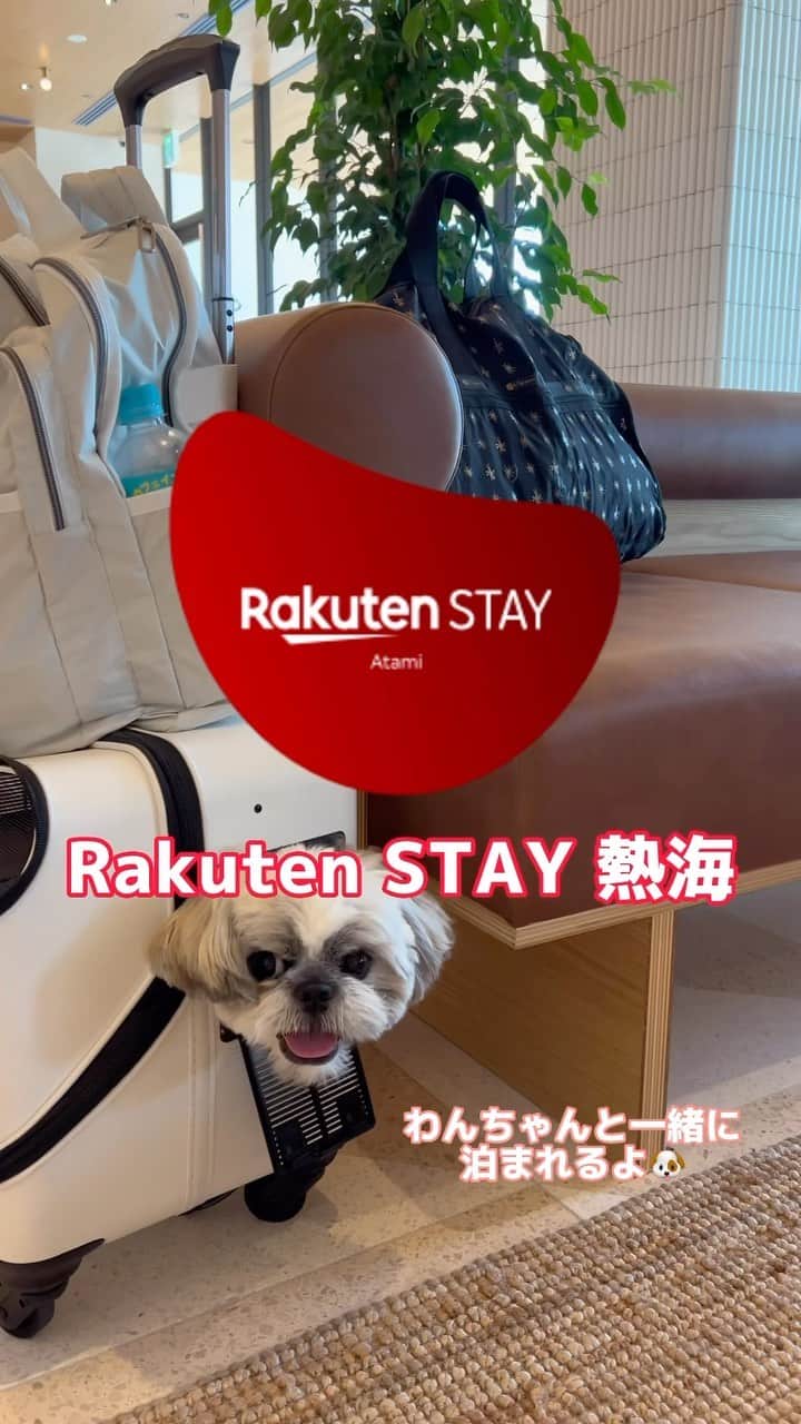 nanaのインスタグラム：「ㅤ 先日のぽた丸🐶初旅行のお宿は わんちゃんも一緒に泊まれる @rakutenstay 『Rakuten STAY 熱海』 なんとこちら、Open前に泊まらせて頂きました✨ ㅤ 海沿いのデザイナーズホテルで 全室オーシャンビュー😍 ㅤ 広くて綺麗でぽた丸も大喜び🥰 ㅤ ご飯は1階に用意されるので、 それを部屋に運んで頂くスタイル😊 夕食は手巻きセットで朝は金目鯛サンド🤤 豪華✨ ㅤ 地下の温泉の大浴場がめちゃくちゃ良かった🫶🏻 ドライヤーはReFaとdysonやったで✨ 男湯にはサウナもあり👨🏻 ㅤ 屋上にはルーフトップテラスがあって 夕方は綺麗やった😍 ㅤ わんちゃんも泊まれて、 部屋にはわんちゃん用に フードボール、ゲージ、ペットシート、 汚物処理袋、消臭スプレーなどが準備されてるから 持っていかなくても大丈夫🙆🏻‍♀️ これはほんま荷物増やさなくていいからありがたい🙏🏻  ㅤ チェックイン/アウトが無人で その代わりクロークないから 荷物預け入れられないのでそこは注意⚠️ ㅤ ㅤ ＝＝＝＝＝＝＝＝＝＝＝＝＝ 今回ご招待いただいた施設はこちら🐶 https://result-track.influencer.linkshare.ne.jp/tracking/372/680 ストーリーにもリンク貼っとくわな👆🏻 🏨Rakuten STAY 熱海 📍〒413-0023静岡県熱海市和田浜南3-5    今回は先着30名様限定で Rakuten STAY 熱海のご宿泊にご利用いただける 1,000円OFFクーポンもらったで😍 ㅤ Vacation STAYの予約画面上で 下記のクーポンコードを入れて使ってな🥰 👇🏻👇🏻👇🏻 RSATAMINANAPANDA   ・クーポン利用期間：7/24から9/30まで ・対象宿泊期間：7/24チェックインから10/31チェックアウトまで ＝＝＝＝＝＝＝＝＝＝＝＝＝ ㅤ ㅤ ㅤ ㅤㅤ ㅤ #楽天ステイ #楽天ステイ熱海 #熱海旅行 #熱海観光 #熱海温泉 #熱海ホテル #わんちゃんのいる生活 #わんちゃんと泊まれる宿 #わんちゃんok #わんちゃんと一緒 #犬とお出かけ #犬連れ旅行 #犬okホテル #pr #rakutenstay」