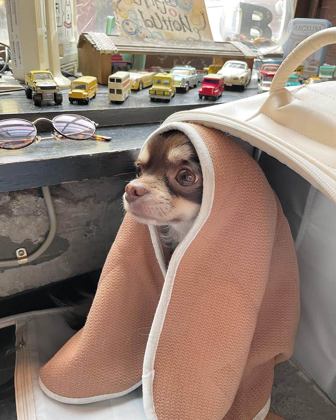 中島愛蘭のグルメインスタ