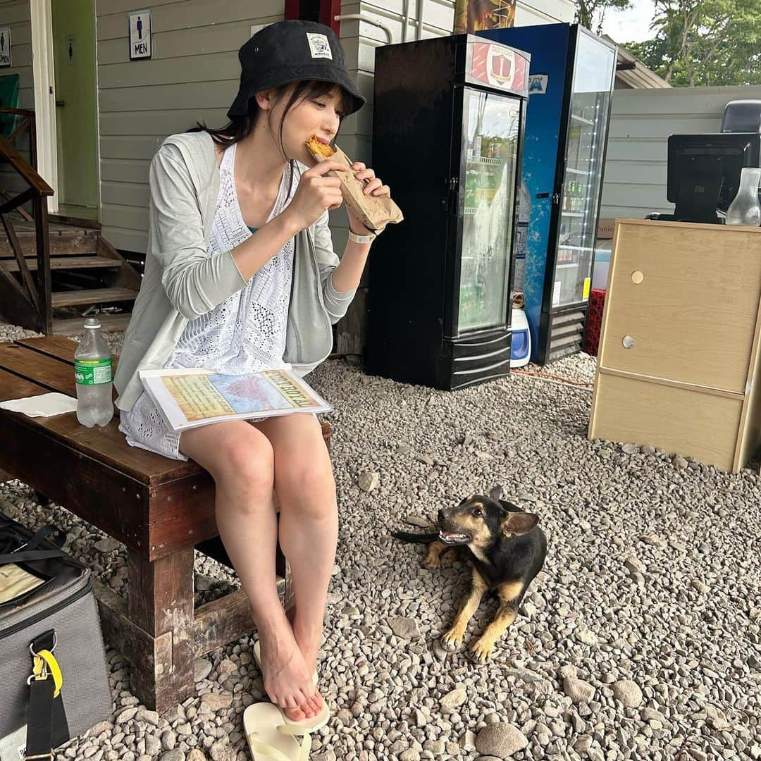 矢島舞美のインスタグラム：「. ジャマイカでの1枚‼︎ お昼を食べていたら、ワンちゃんが寄ってきたよ♡☺️お利口さんに伏せて、私が溢さないか、狙ってる！かわいー♡♡♡ . 今日は、『世界ふしぎ発見！』のナレーション録りもしてきました‼︎ 平田広明さんのナレーションも聞く事ができて、語り方でとーってもワクワクさせられました😭 改めて素敵なお声だったなぁ✨☺️ 朗読劇ぶりにお会いできて、嬉しかったです☺️ ナレーションも是非！ご注目下さい😊 . . #世界ふしぎ発見#ミステリーハンター #矢島舞美」