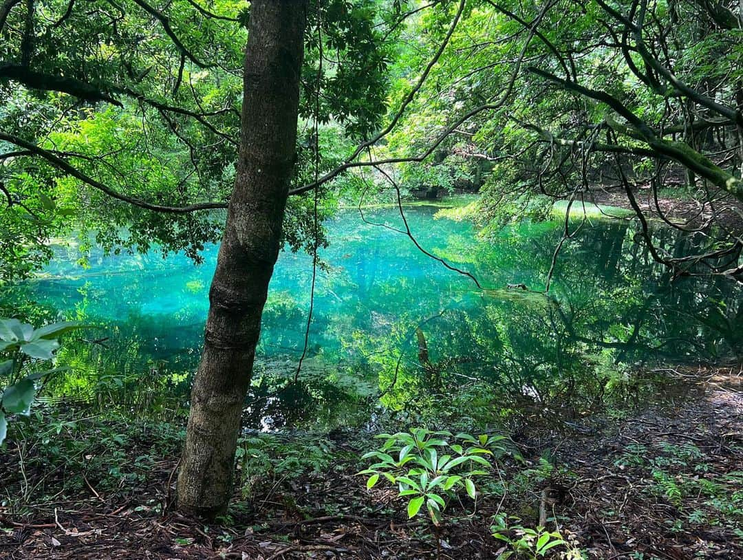 横川尚隆さんのインスタグラム写真 - (横川尚隆Instagram)「山形ロケ最高だった🥺 この池の水グリーンみたいな青みたいな色しててしかもこの方は神様らしいです😳 ここの水だけこの色で神様感あってめっちゃ綺麗でめっちゃ興奮した😳 自然てすごい ⁡ 今日の呼び出し先生タナカみてくれたみんなありがとう🥳来週も強制停学SPみてね🙋‍♂️ ⁡ ⁡ #横川くんの筋肉ちゃんねる#THEBUILD#bodybuilding#ボディビル#training#workout #トレーニング#ワークアウト#筋トレ#fitness#フィットネス#筋肉 #腹筋#physique#フィジーク」7月24日 21時25分 - yokokawa_naotaka