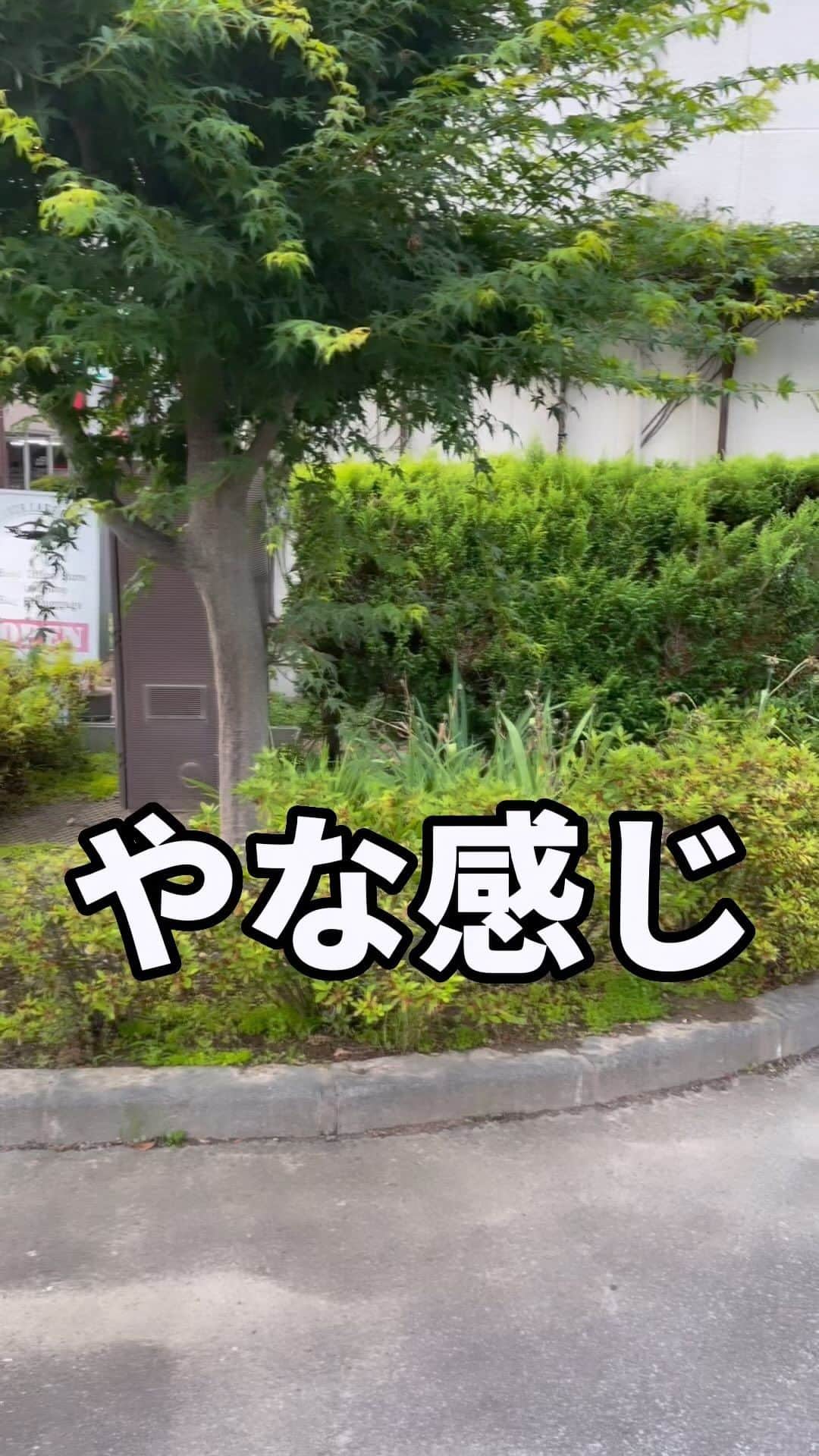 椎木ゆうたのインスタグラム：「〜やな感じ〜  マネージャーあじ美が急に質問してきたので 答えたらメドレー歌いだした。  #世間知らズ  #マネージャー　 #あじ美 #やな感じ #メドレー」