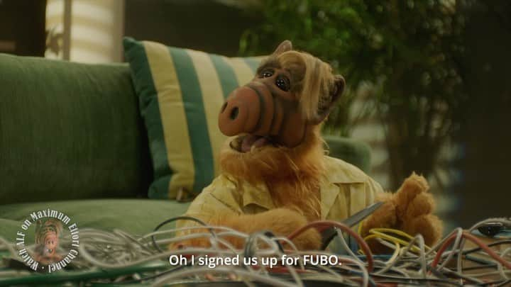 ライアン・レイノルズのインスタグラム：「Holy cats! Having our own @MaximumEffort Channel means doing fun things like making new ALF content for ALF re-runs. Marketing should be FUN. Thanks to our intrepid #MaximumMoment partners @mintmobile, @hims, @ring, @fubotv, @weareMNTN, and of course @gordonshumwayofficial」