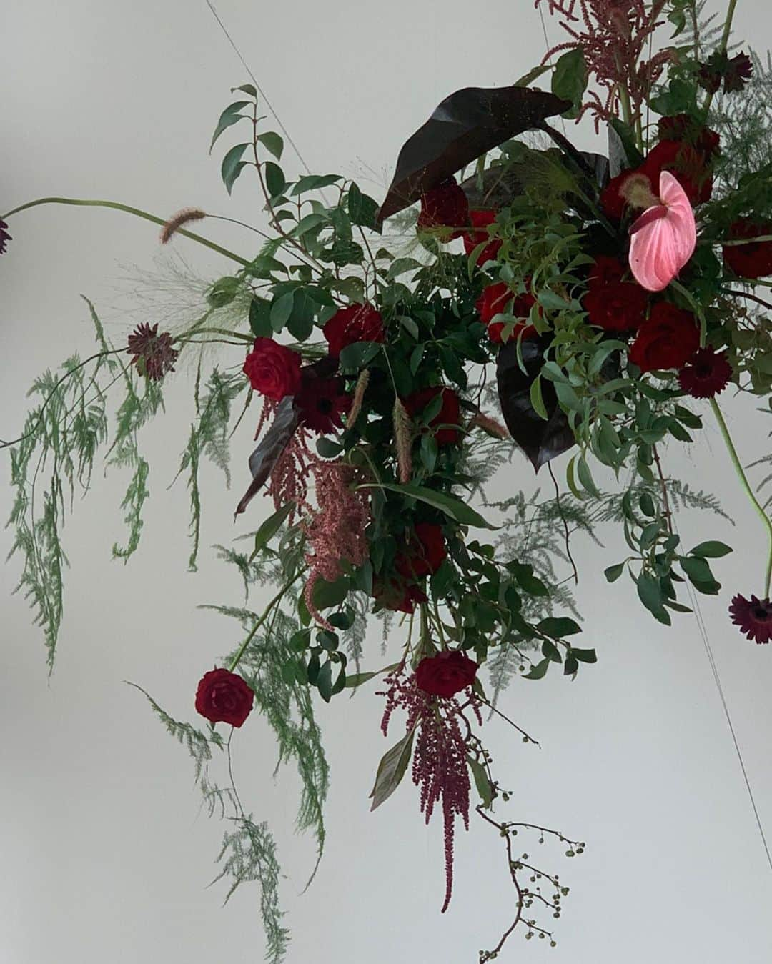 플로리스트 이주연 florist Lee Ju Yeonさんのインスタグラム写真 - (플로리스트 이주연 florist Lee Ju YeonInstagram)「. . Hanging installation   #hanginginstallation #행잉 #공간장식  . 바네스플라워 VANESS FLOWER . Katalk ID vaness52 E-mail vanessflower@naver.com . Paypal payment possible . 서울시 중구 청파로464 브라운스톤서울 101동2806호 📞02-545-6813」7月24日 21時50分 - vanessflower